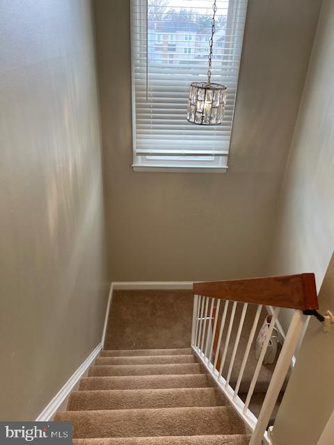 PROPHECY - Residential