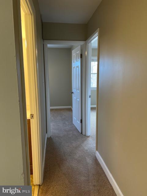 PROPHECY - Residential