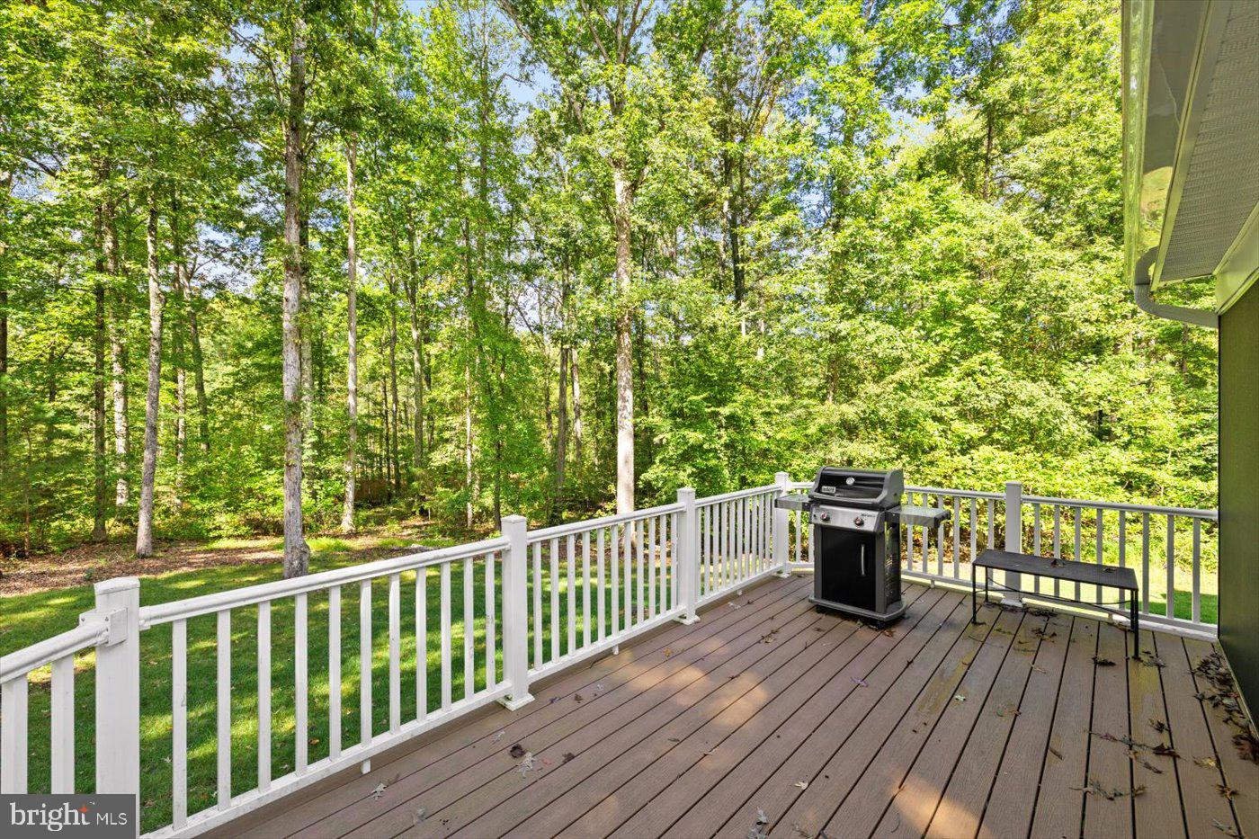 THE WATERS AT LAKE ANNA - Residential