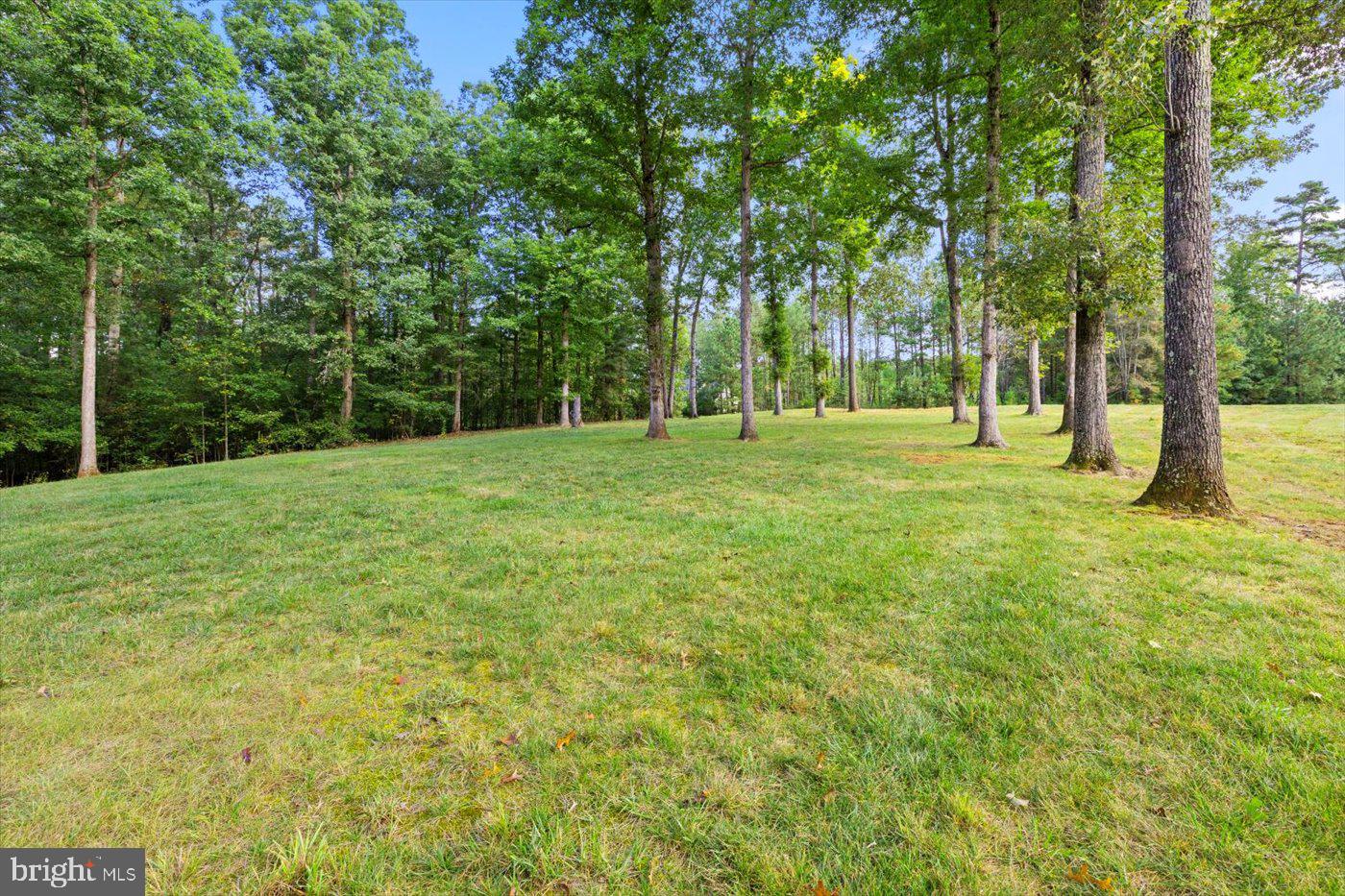 THE WATERS AT LAKE ANNA - Residential