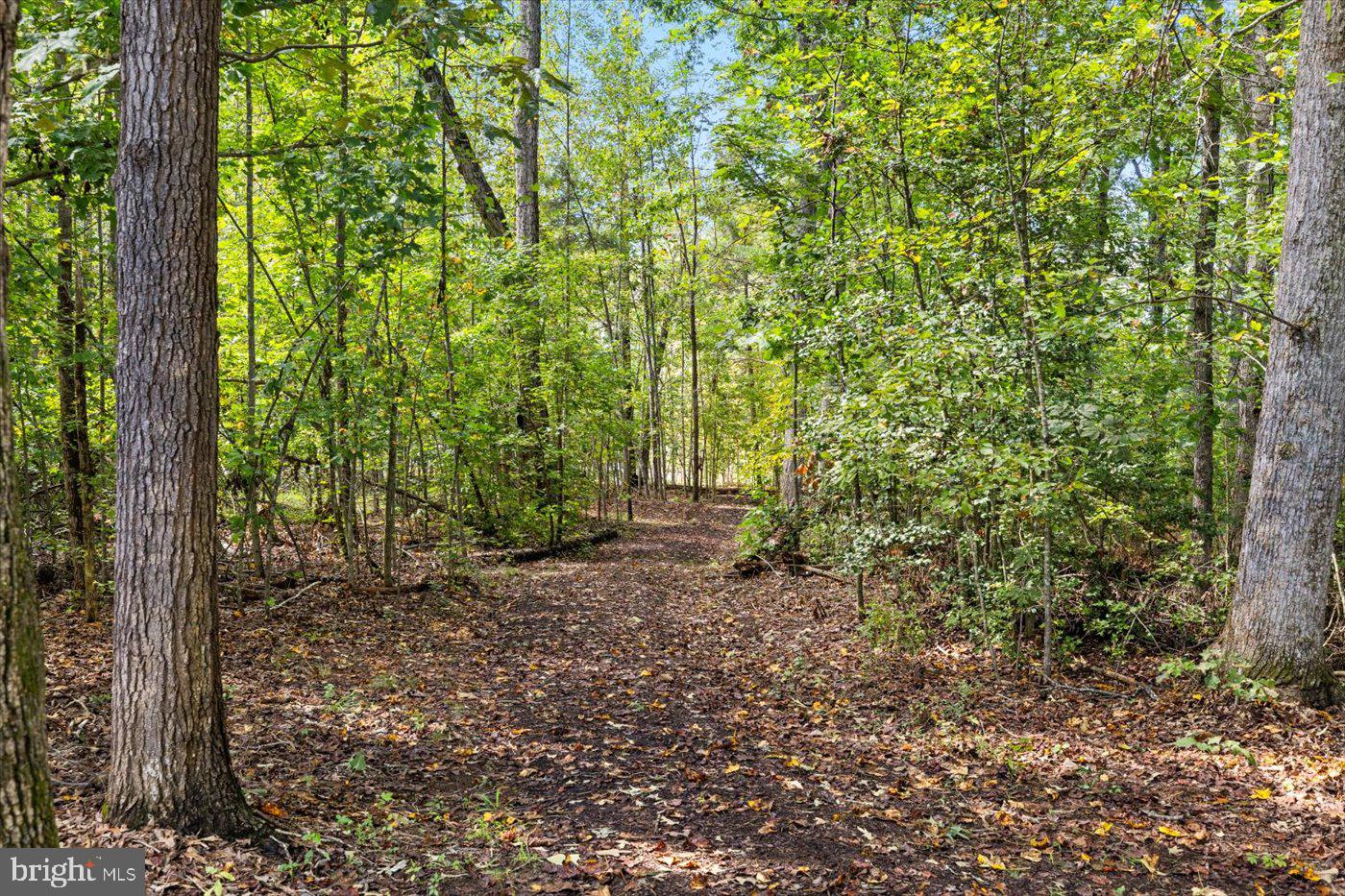 THE WATERS AT LAKE ANNA - Residential