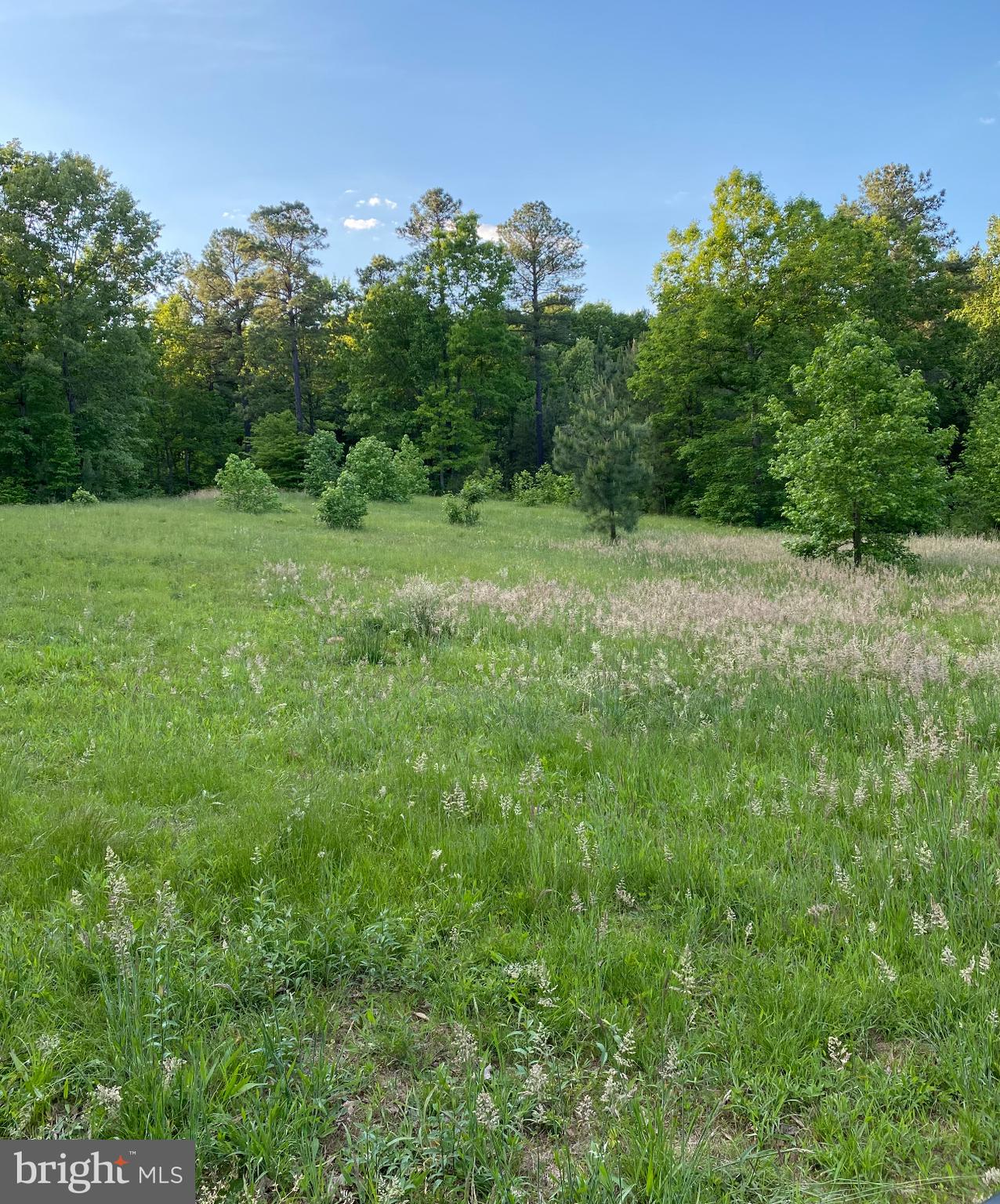 Build your next home here on this 7.4 acre lot with no HOA! Bring your house plans and your own builder. Great location less than 45 minutes to Fredericksburg, Charlottesville or Richmond, less than 2 hours from DC & less than a 5 minute drive to Pleasants Landing at Lake Anna, where you can launch a boat & dine at El Gran Patron, Lake Anna's newest restaurant! Spend your days boating and fishing on the lake, or simply enjoy the country life right from your own yard. **Lot is in between 1289 Eastham & 1305 Eastham Rd**