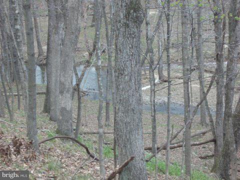 BEAVER DAM WOODS - Land