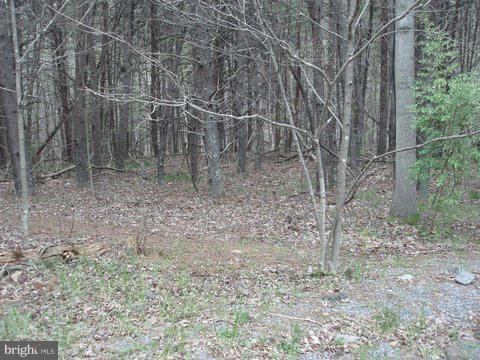 BEAVER DAM WOODS - Land