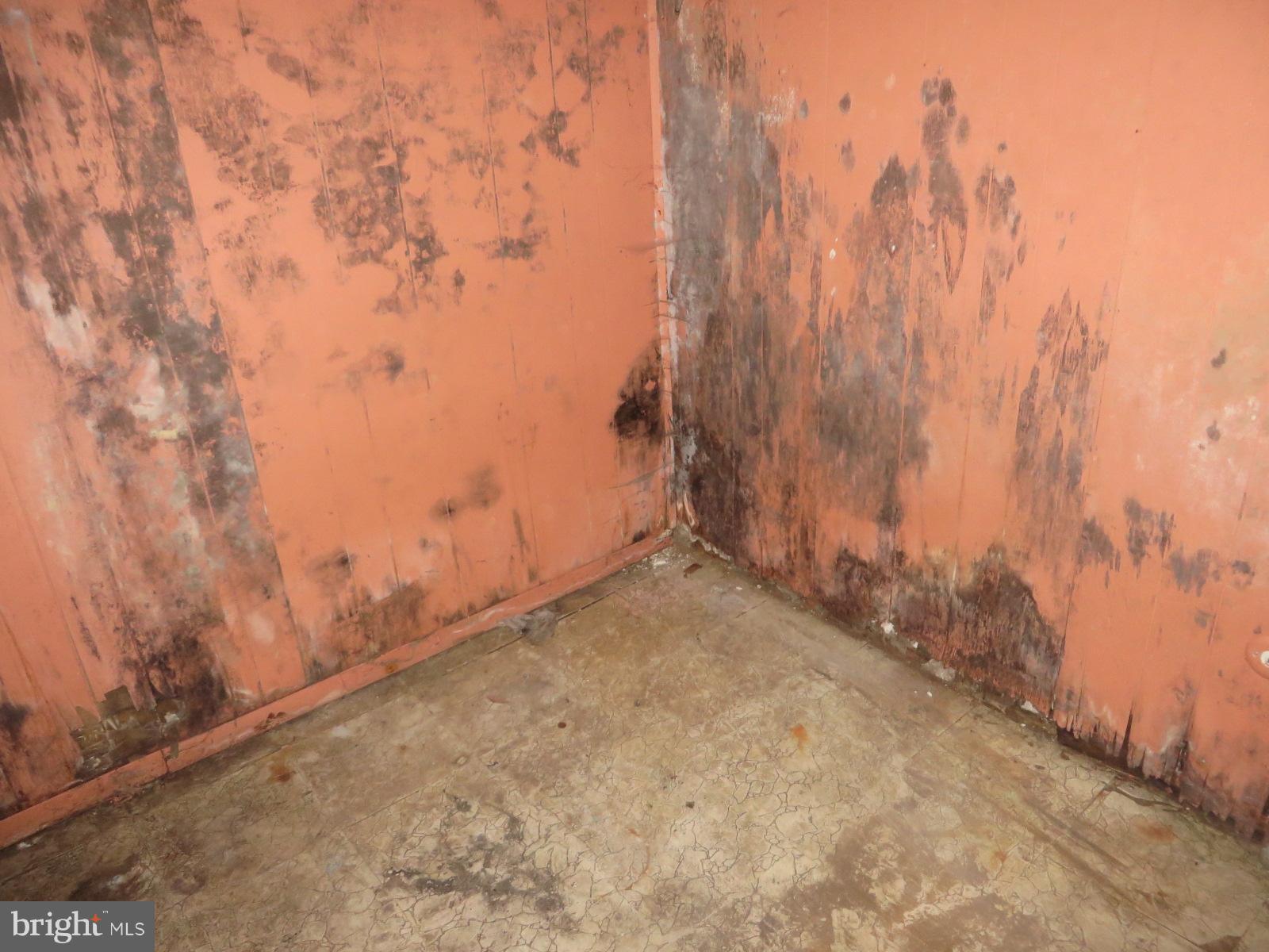 FOREST HEIGHTS - Residential