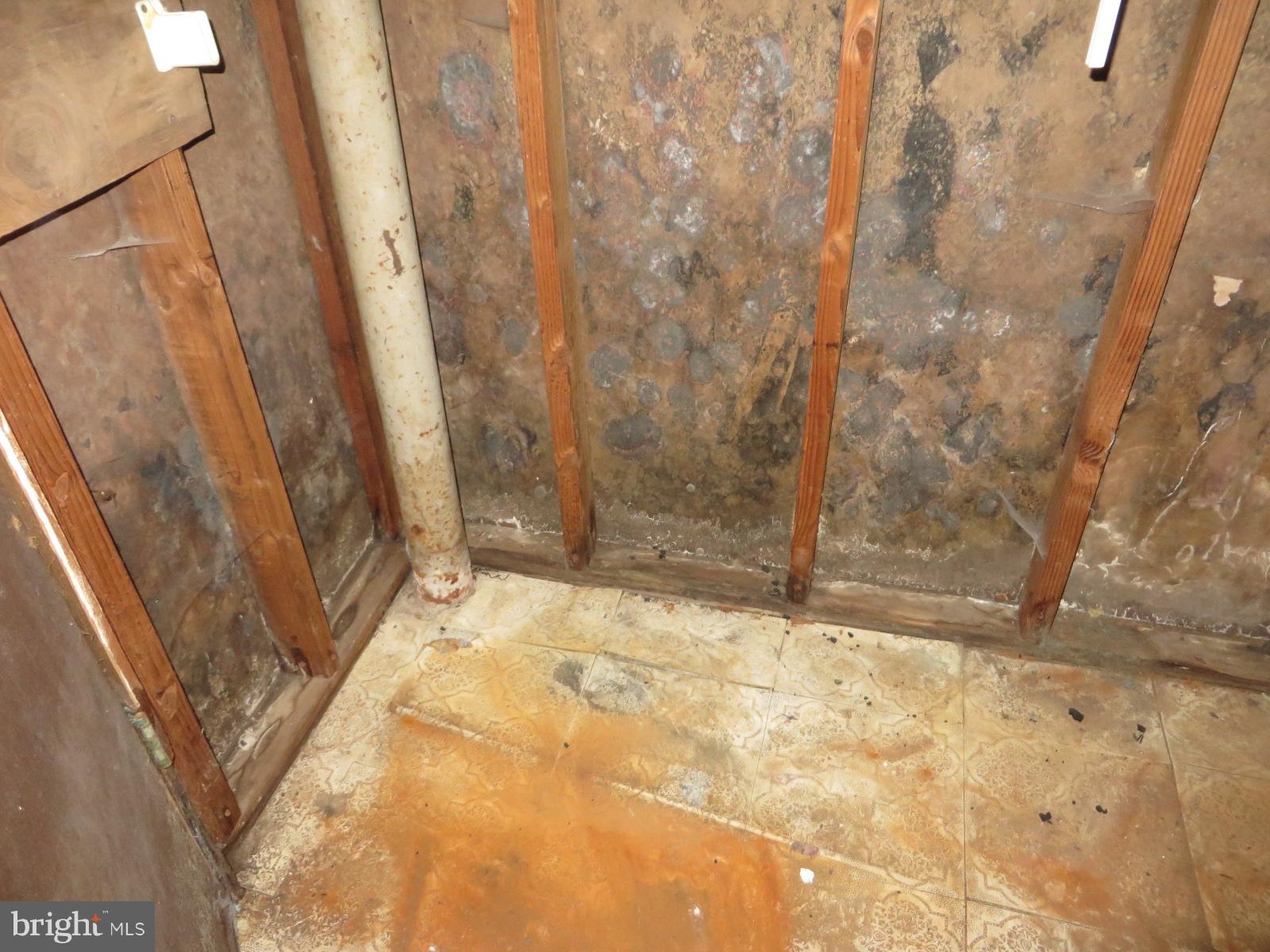 FOREST HEIGHTS - Residential