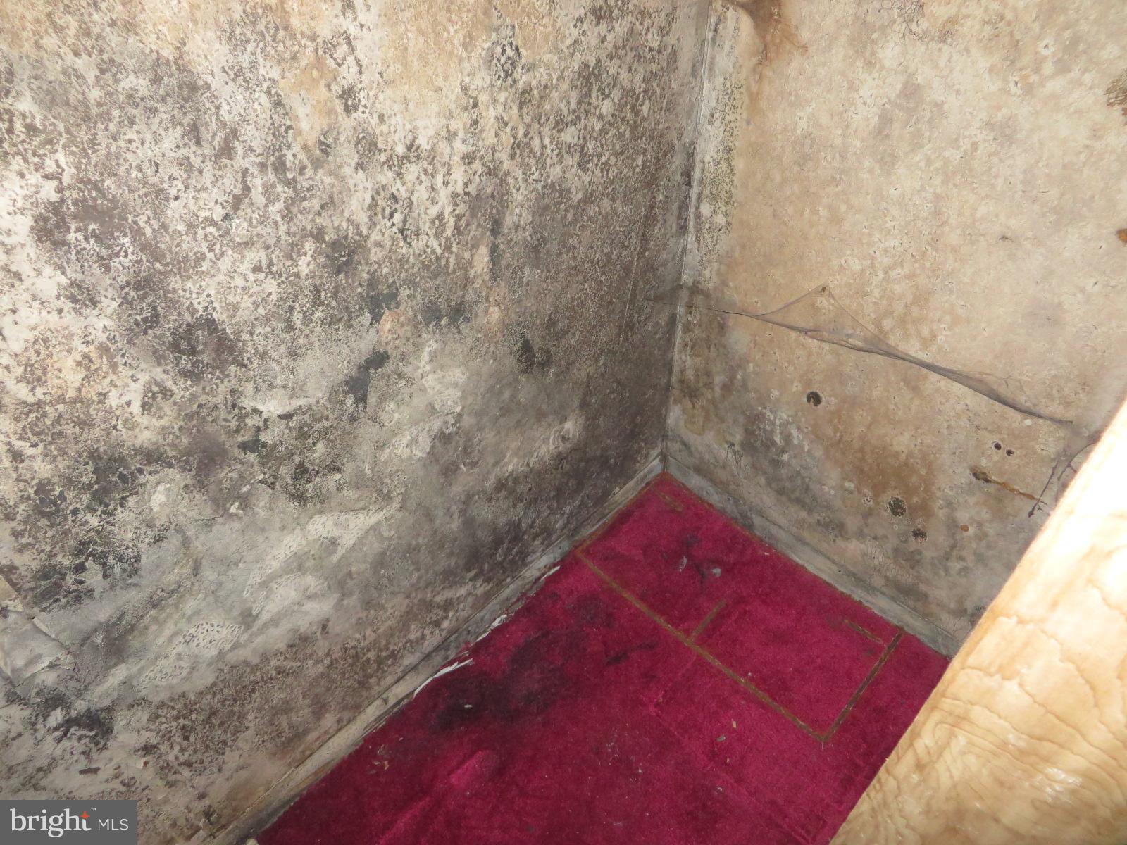 FOREST HEIGHTS - Residential