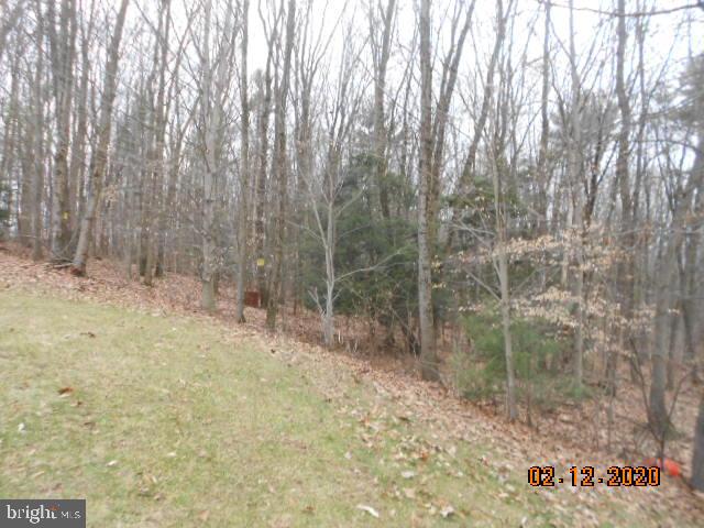 PINE VISTA ESTATES - Residential