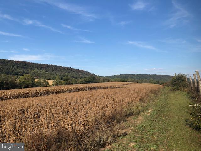 NONE AVAILABLE - Farm