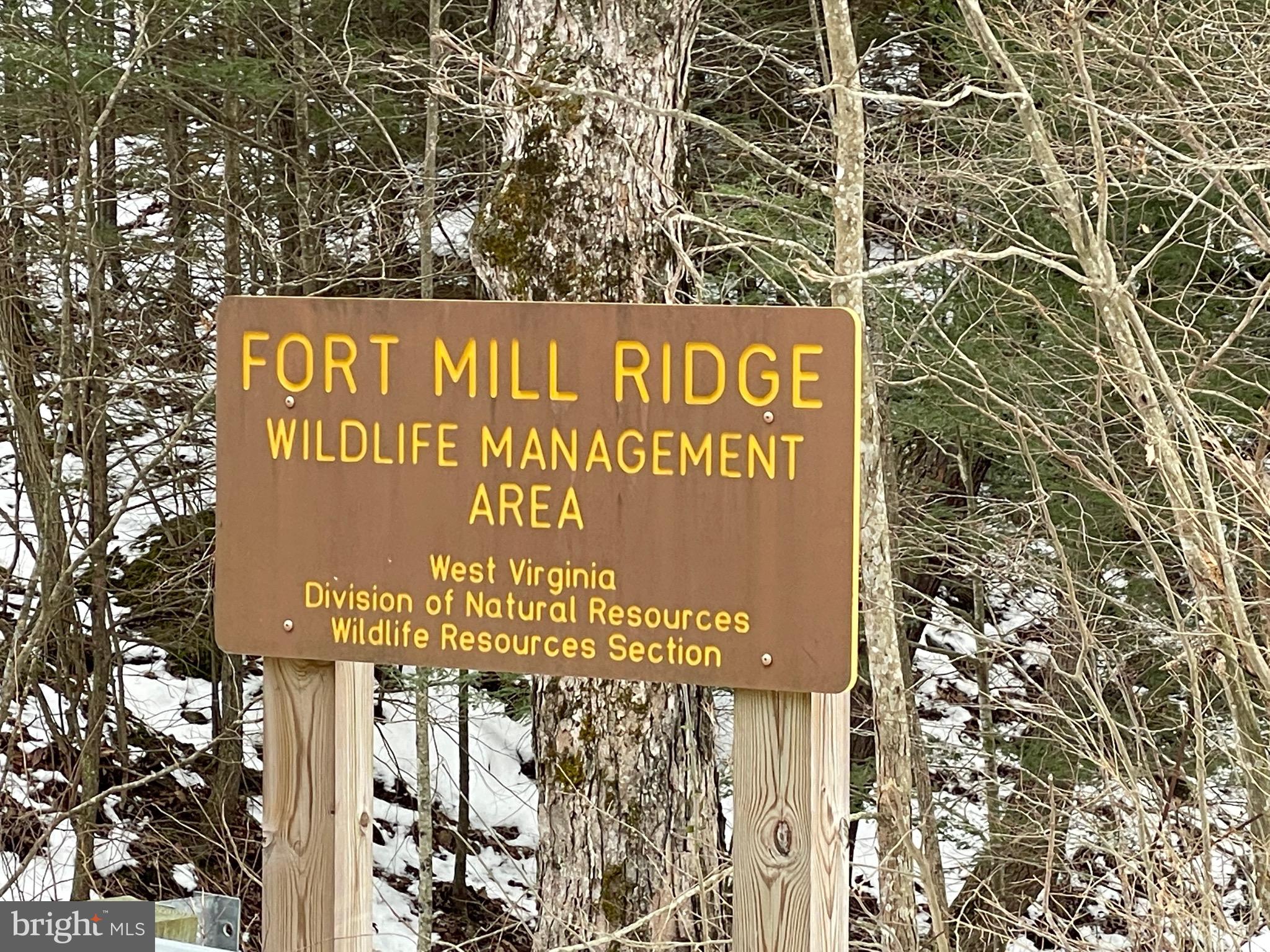 APPLE FIELDS OF HEAVEN - Land