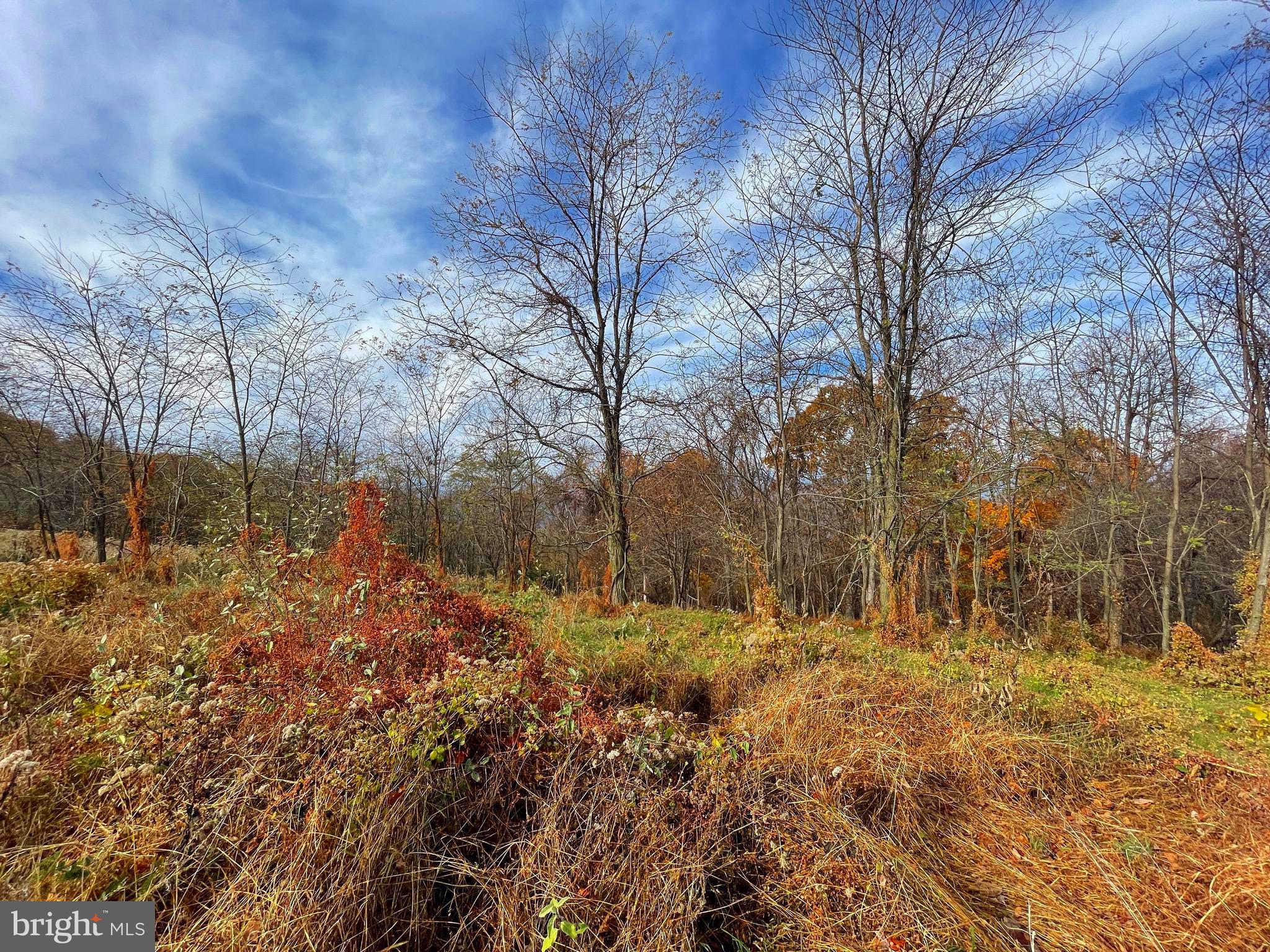APPLE FIELDS OF HEAVEN - Land