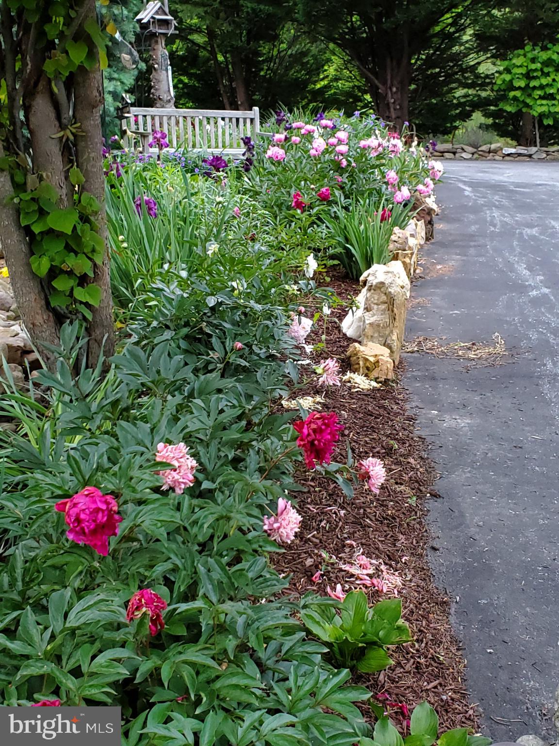 ORCHARD ON THE POTOMAC - Residential