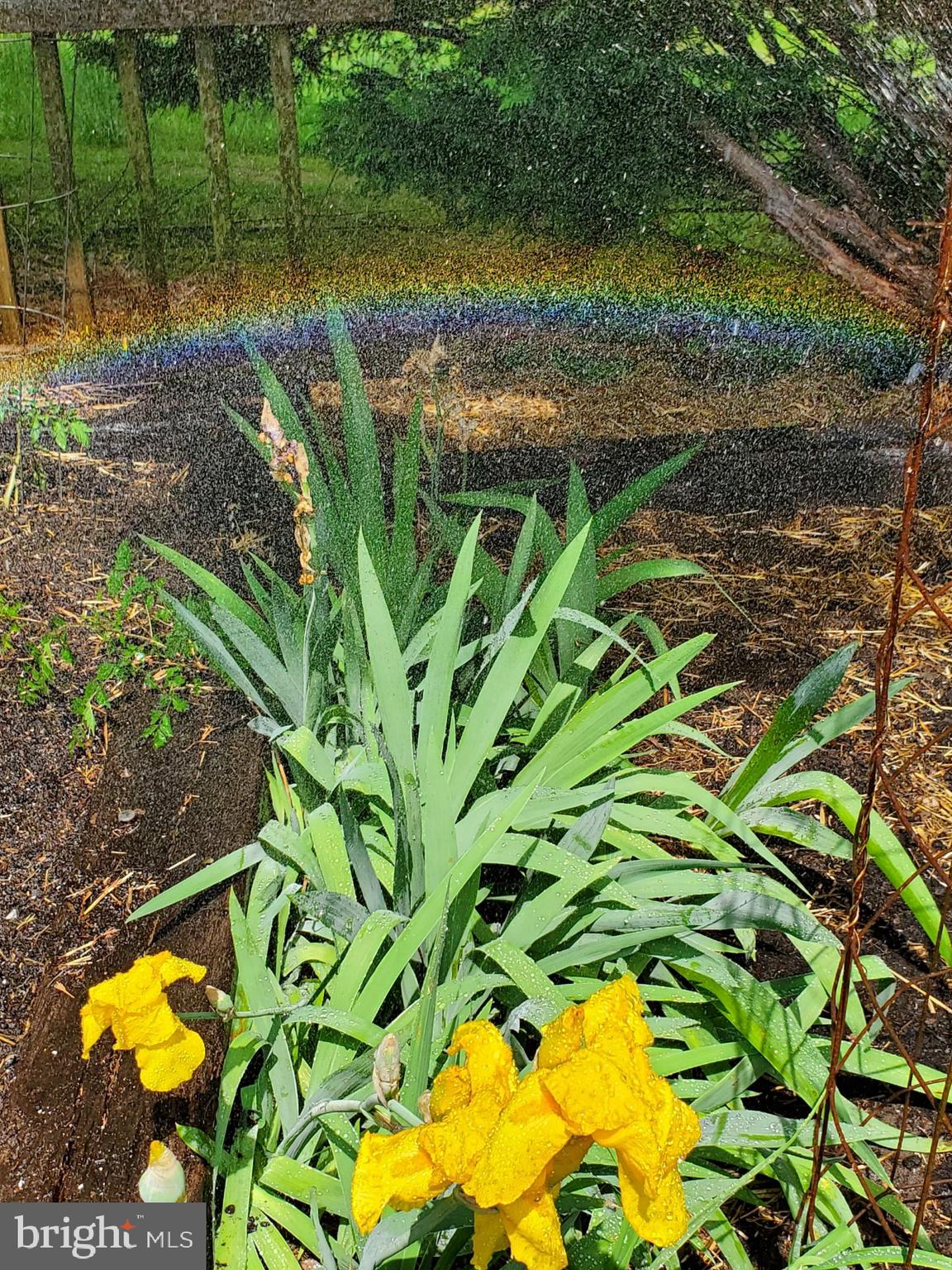 ORCHARD ON THE POTOMAC - Residential