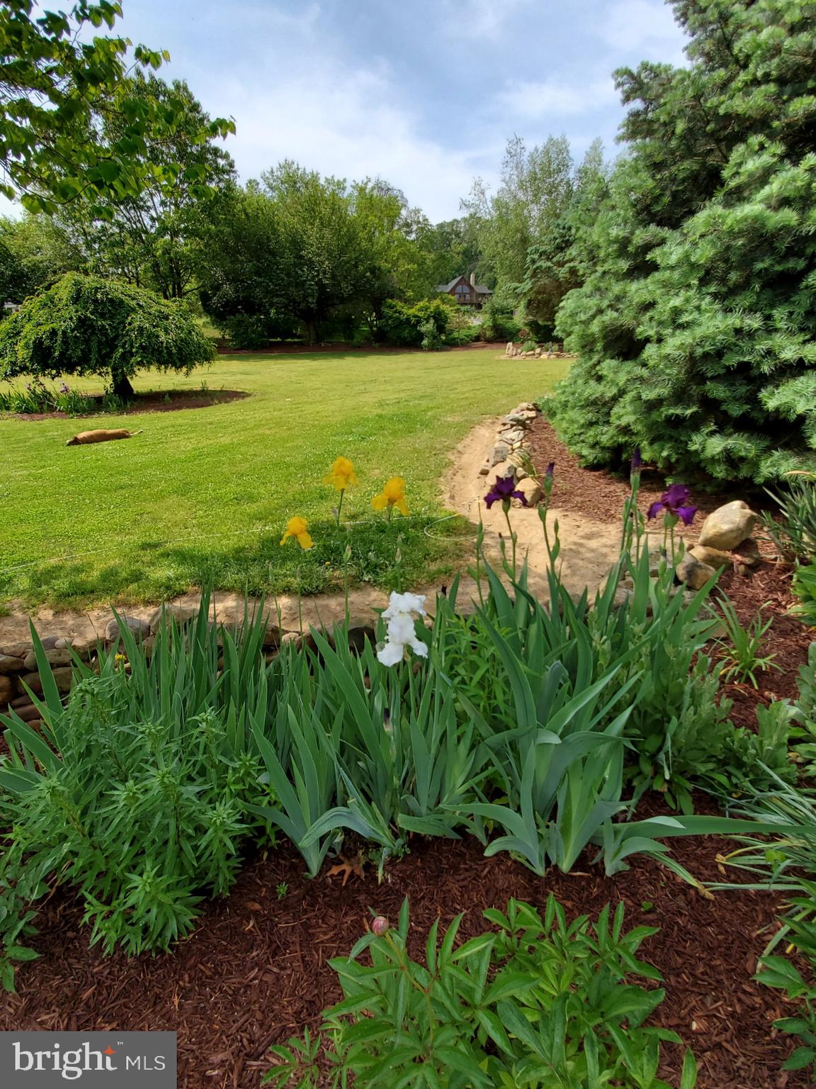 ORCHARD ON THE POTOMAC - Residential