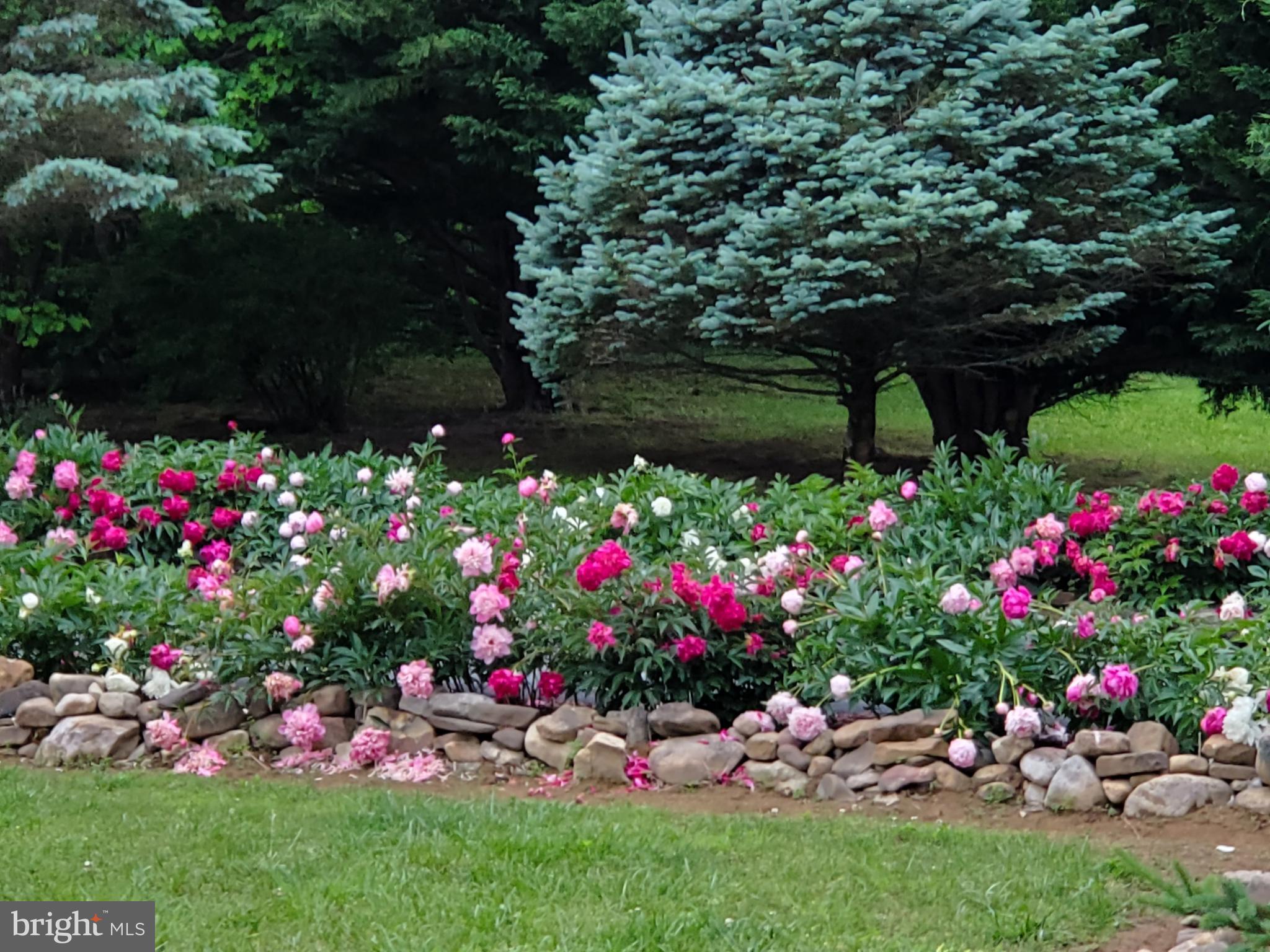 ORCHARD ON THE POTOMAC - Residential