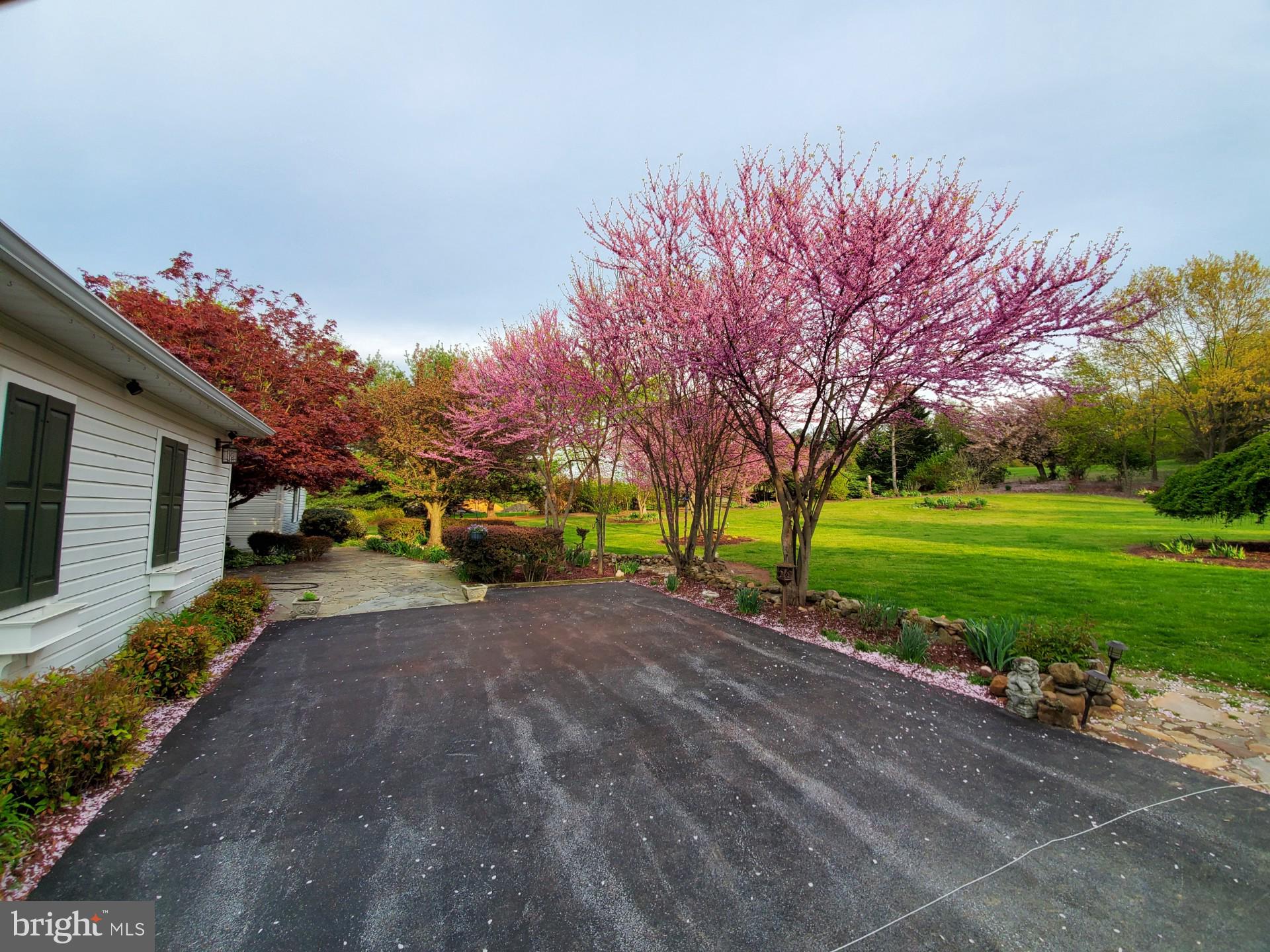 ORCHARD ON THE POTOMAC - Residential