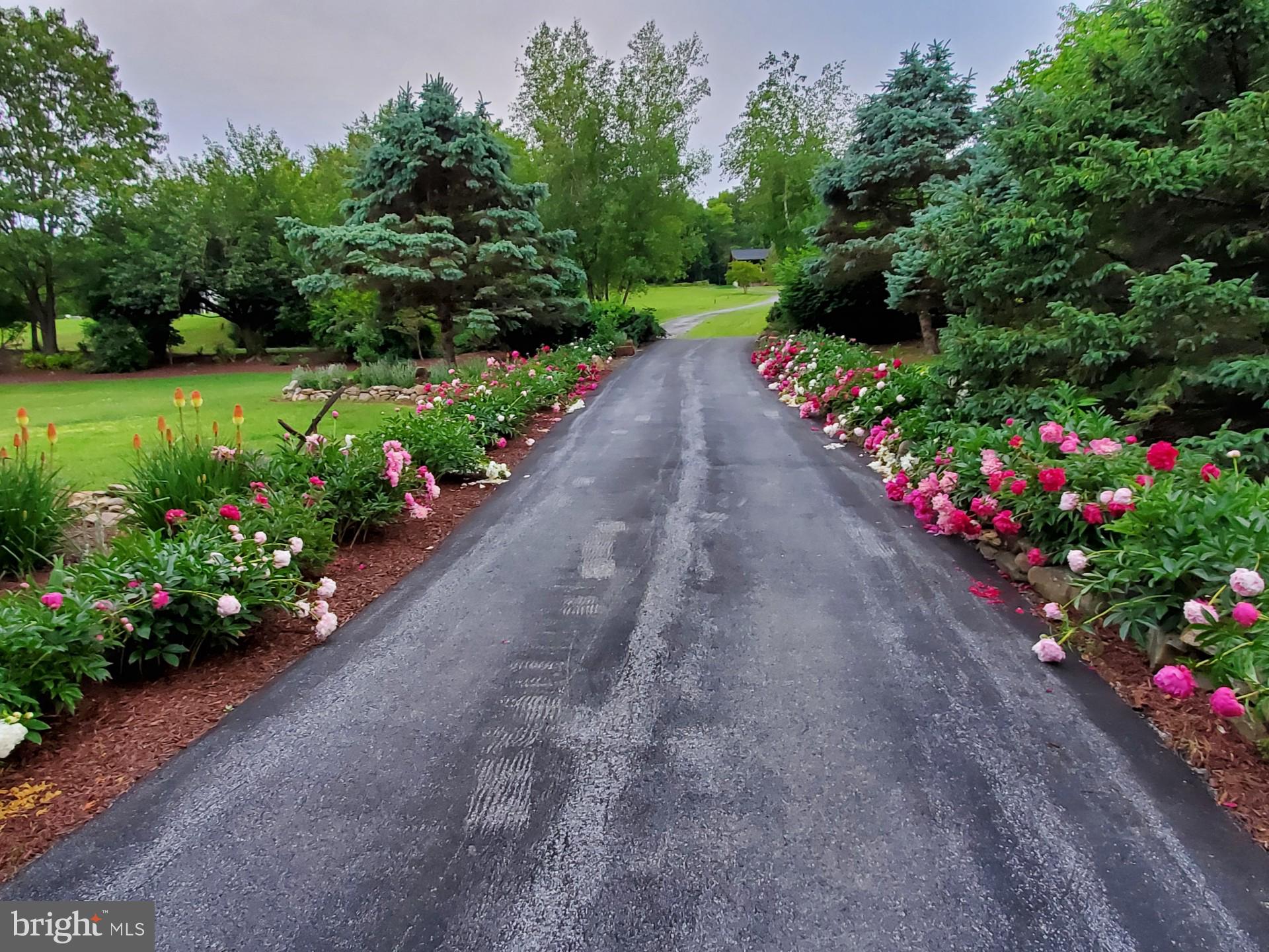 ORCHARD ON THE POTOMAC - Residential