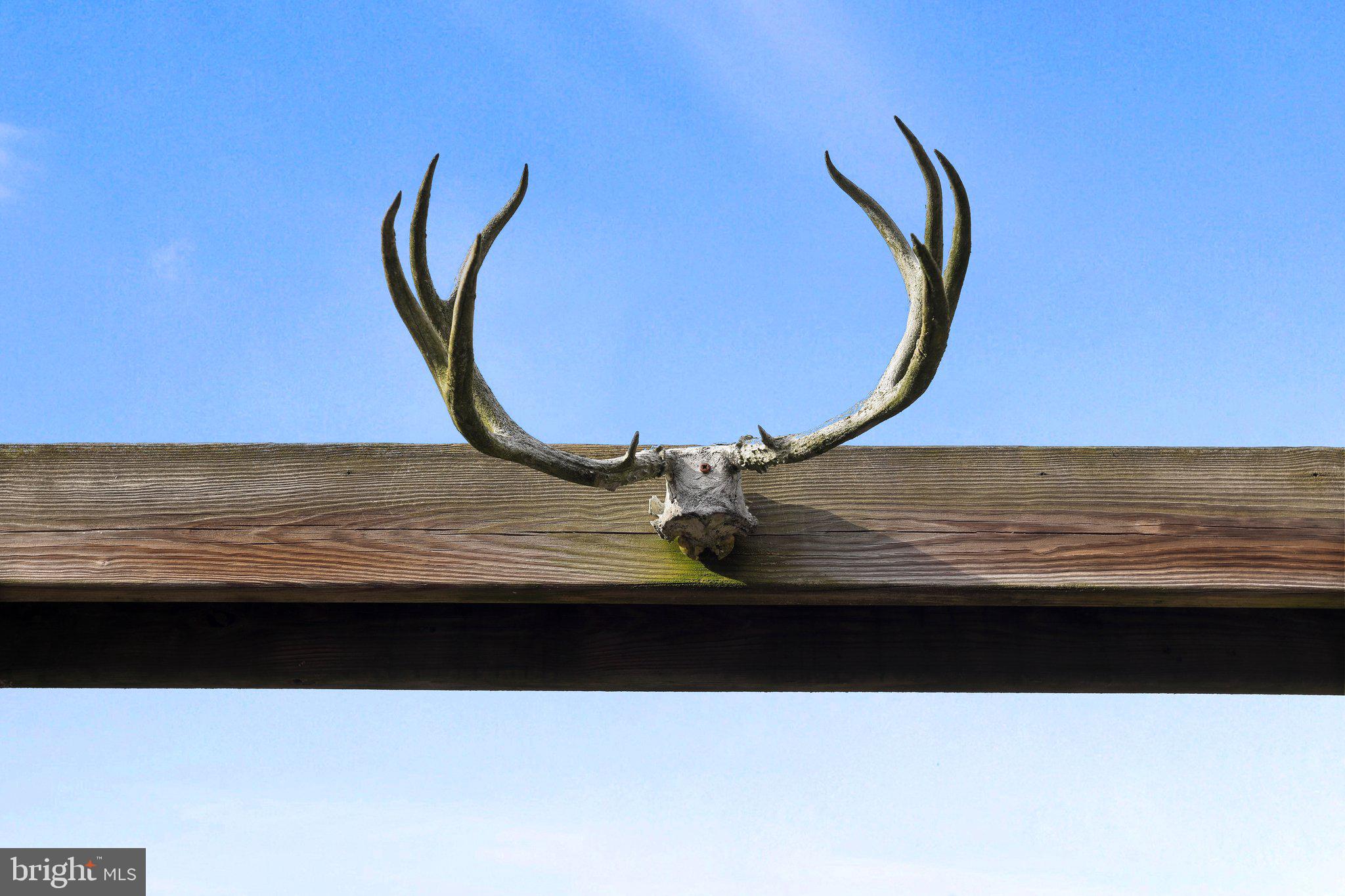 ORCHARD ON THE POTOMAC - Residential