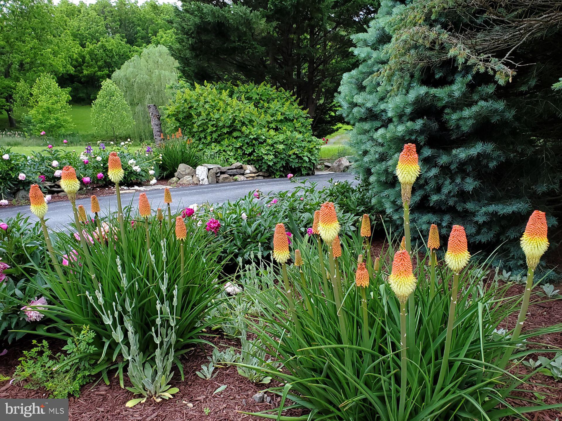 ORCHARD ON THE POTOMAC - Residential