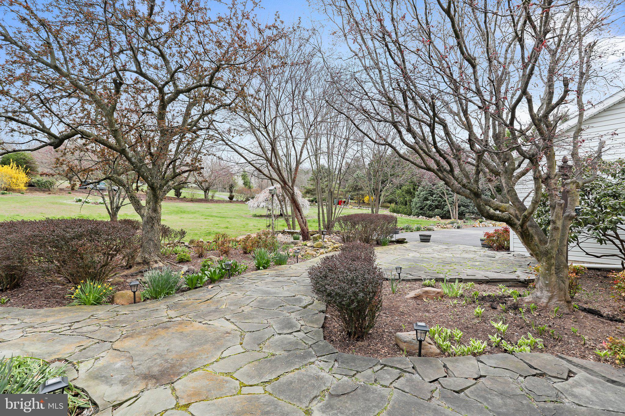 ORCHARD ON THE POTOMAC - Residential