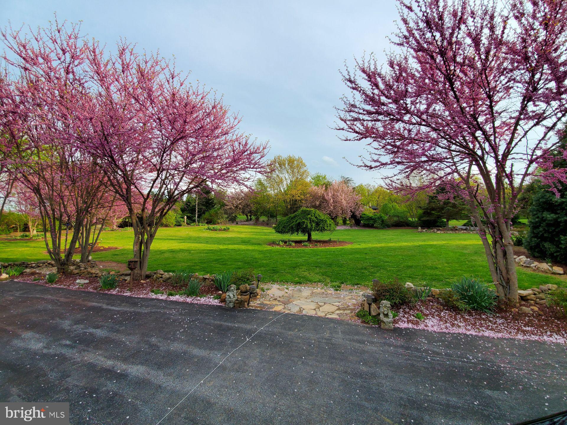 ORCHARD ON THE POTOMAC - Residential