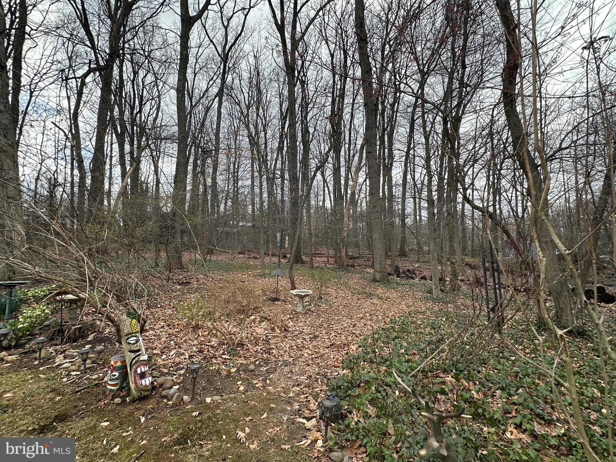 SLEEPY HOLLOW WOODS - Residential