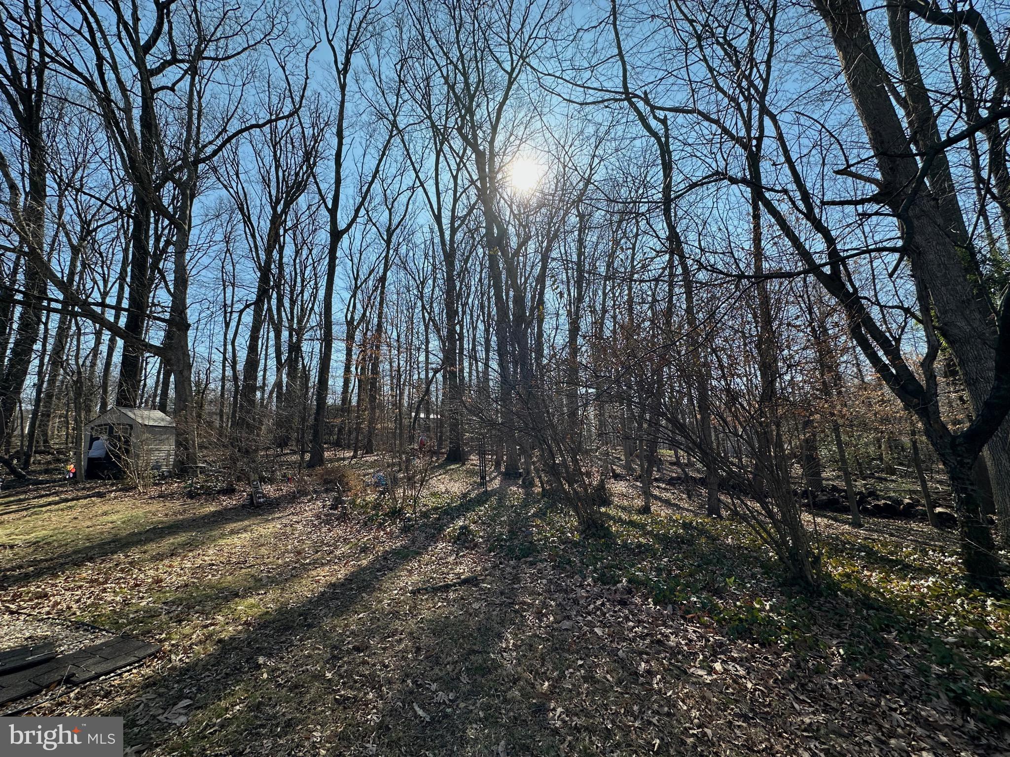 SLEEPY HOLLOW WOODS - Residential