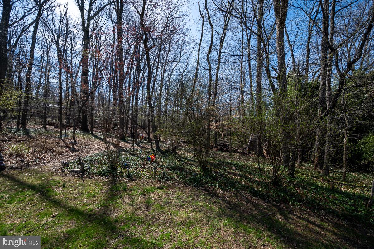 SLEEPY HOLLOW WOODS - Residential