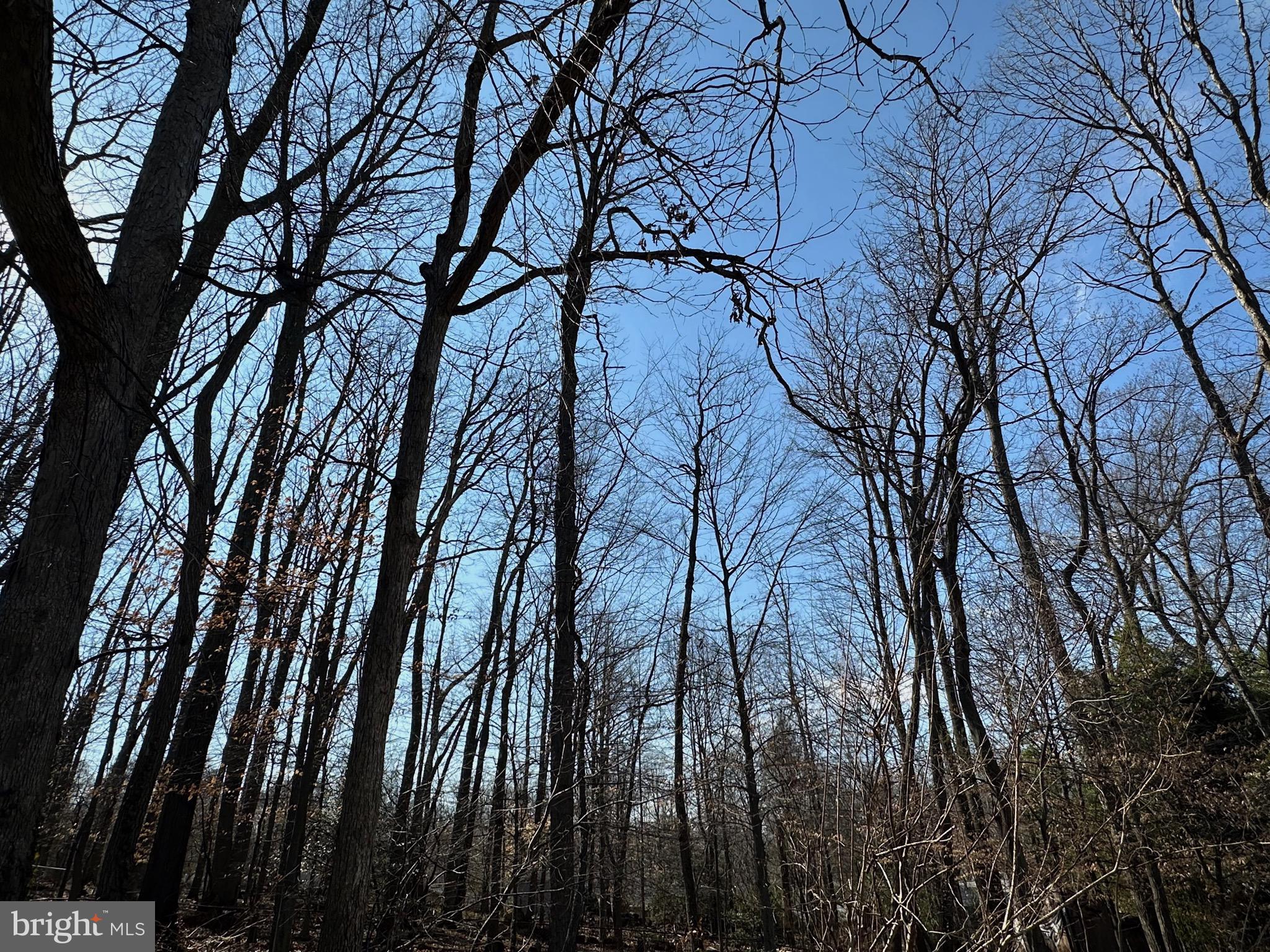 SLEEPY HOLLOW WOODS - Residential