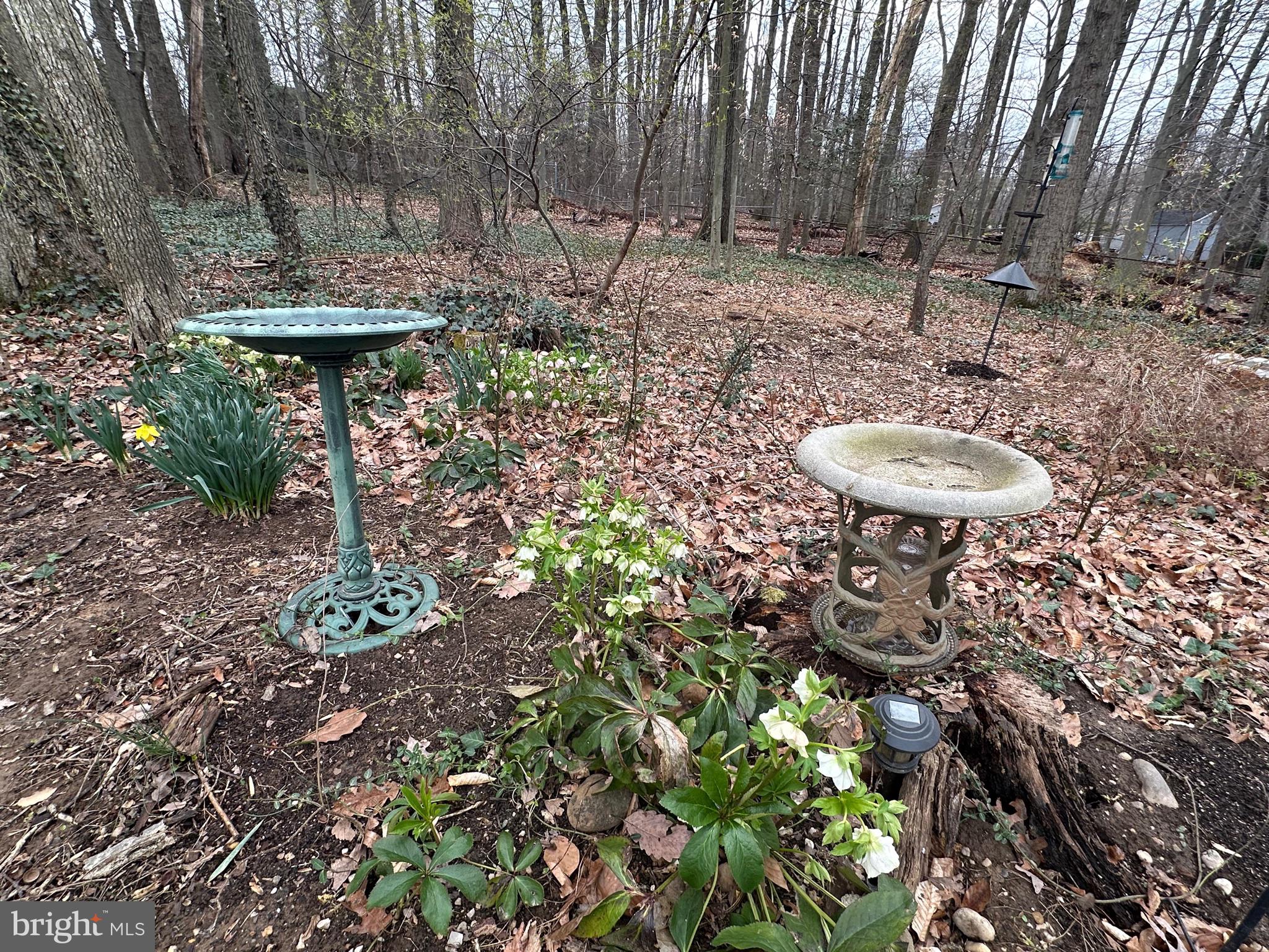 SLEEPY HOLLOW WOODS - Residential