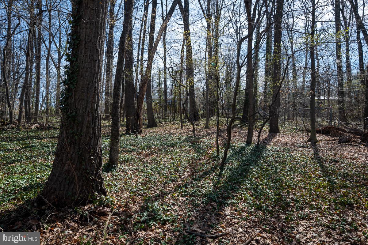 SLEEPY HOLLOW WOODS - Residential