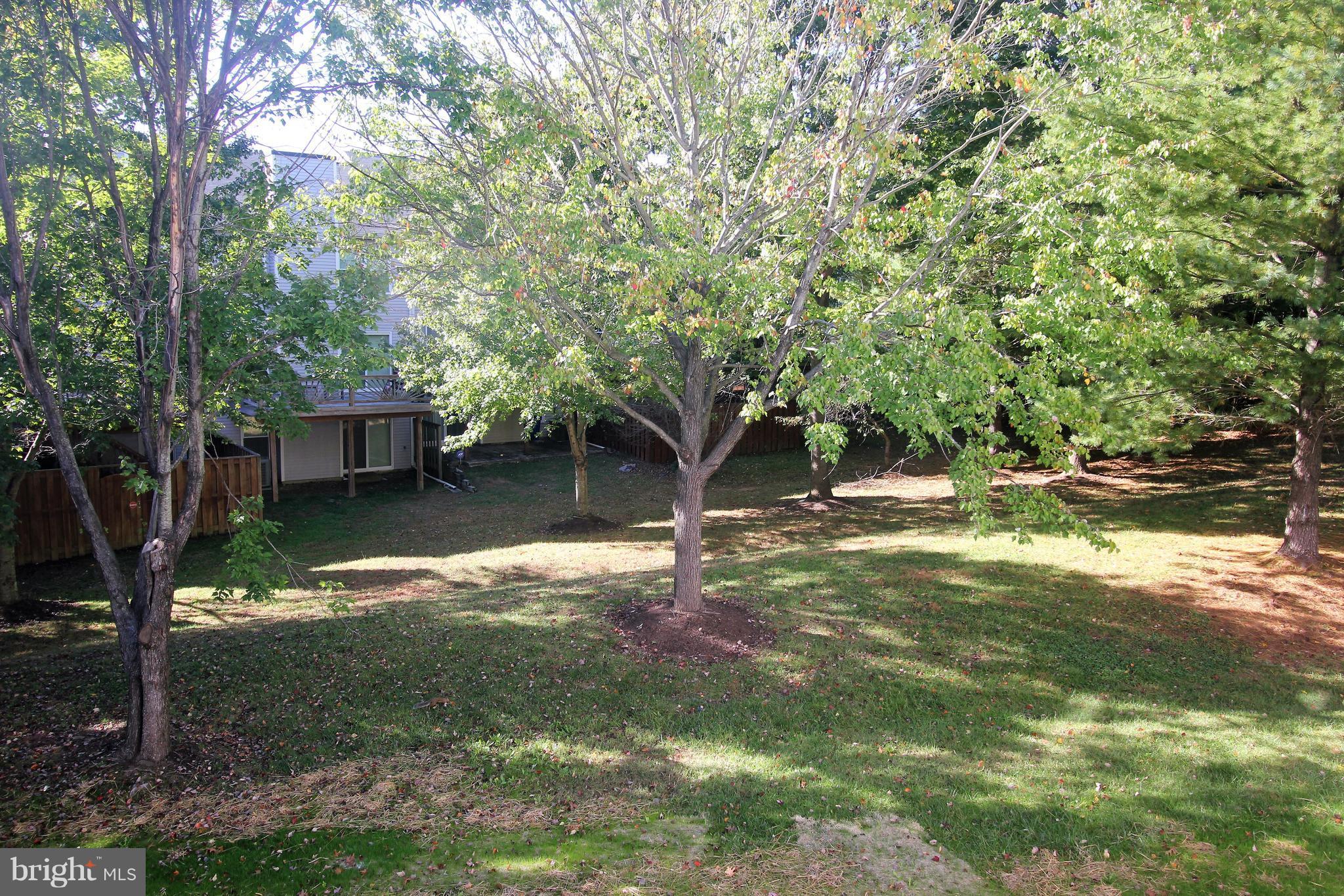 CLARY'S FOREST - Residential