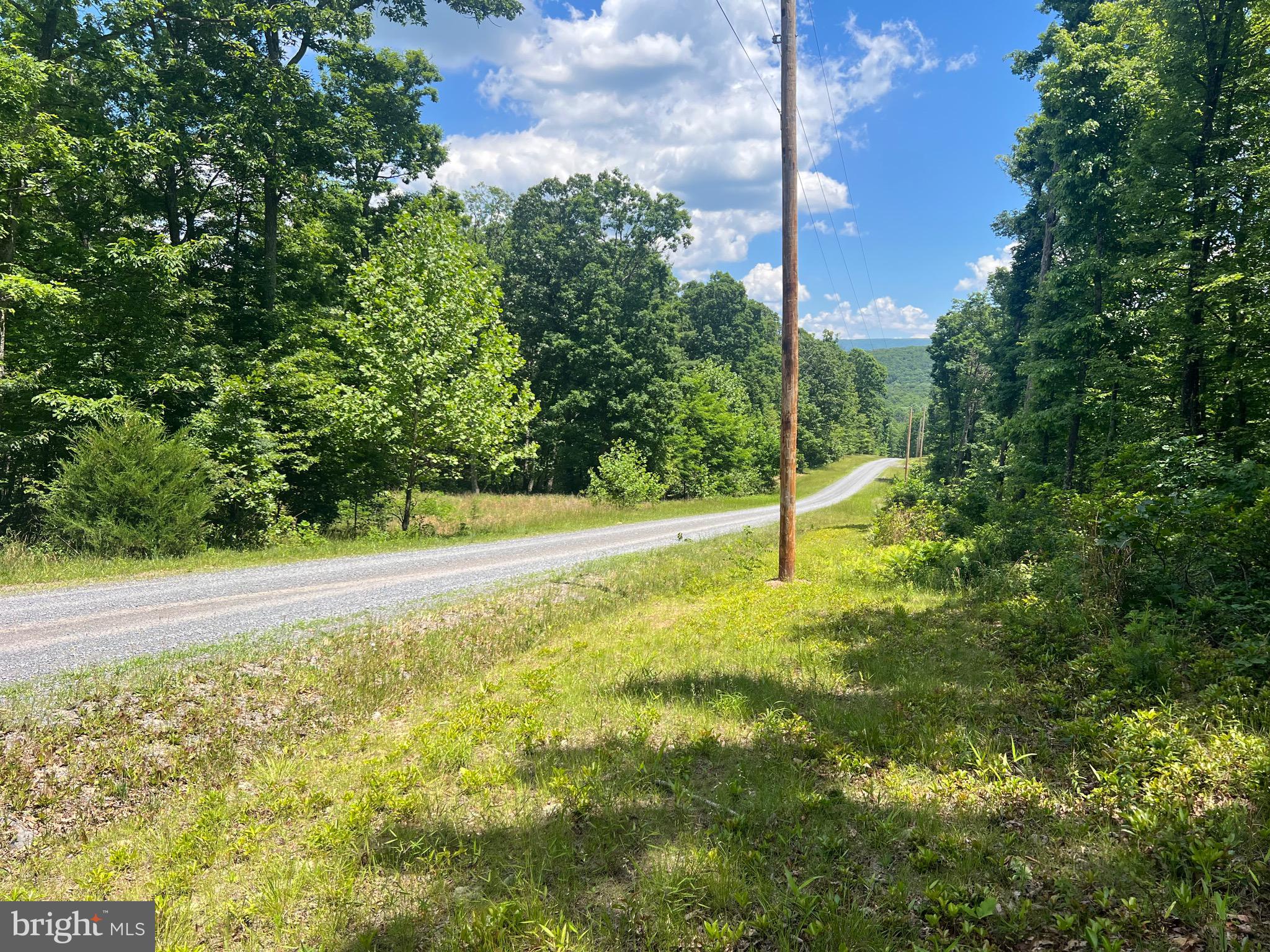 WATERBERRY DRIVE