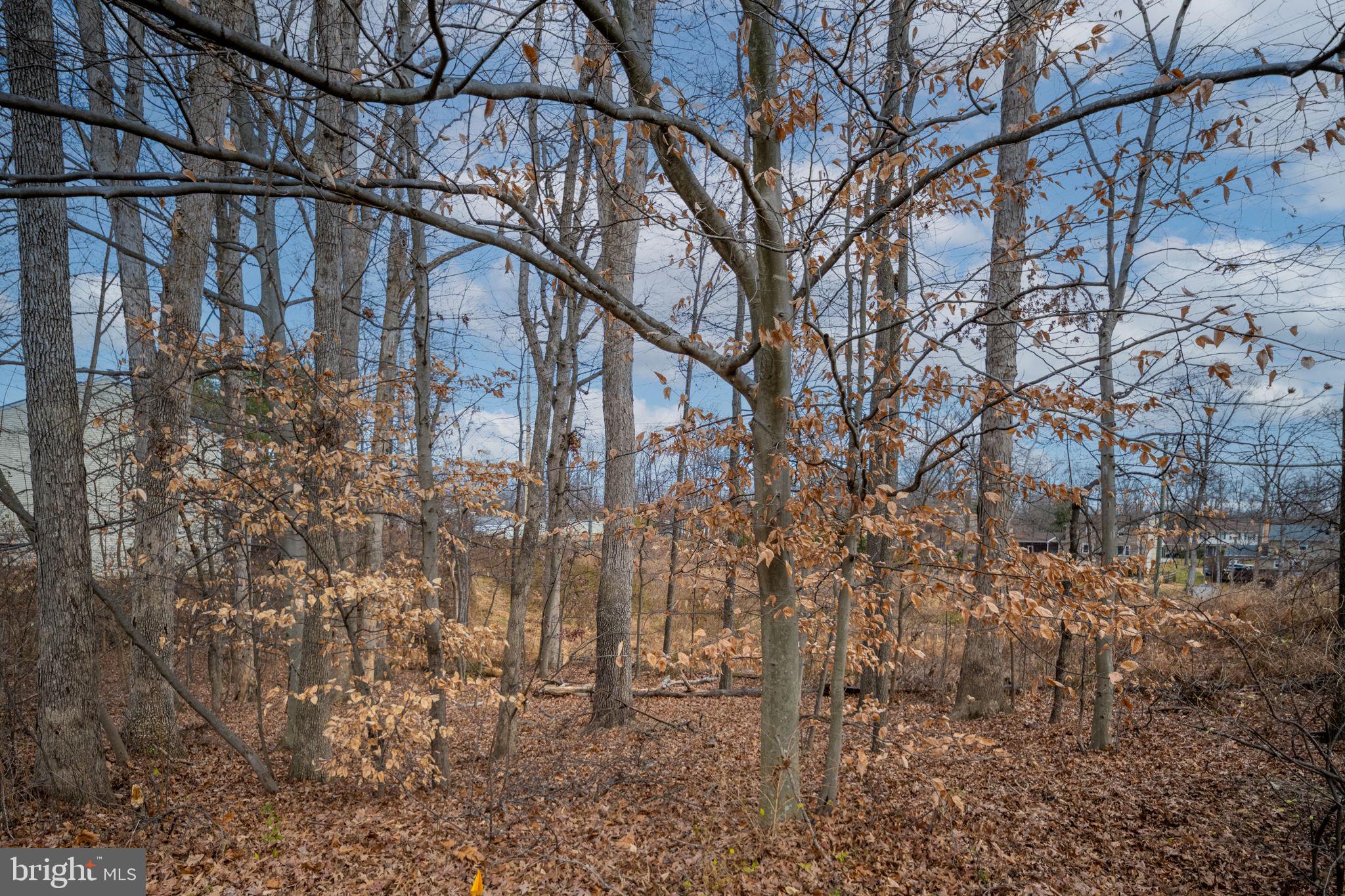 ANTIETAM WOOD - Residential