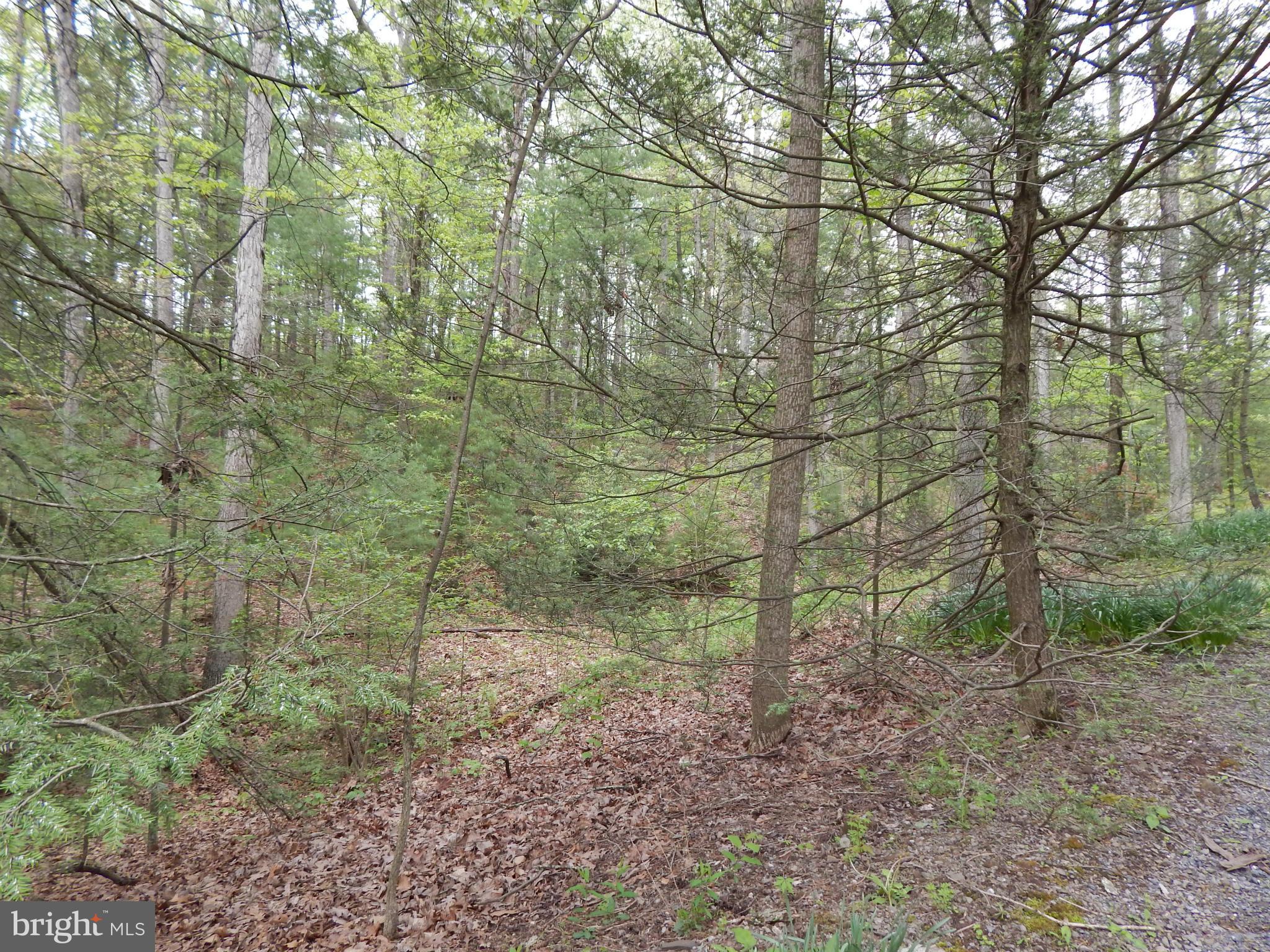 CHESTNUT GROVE - Land