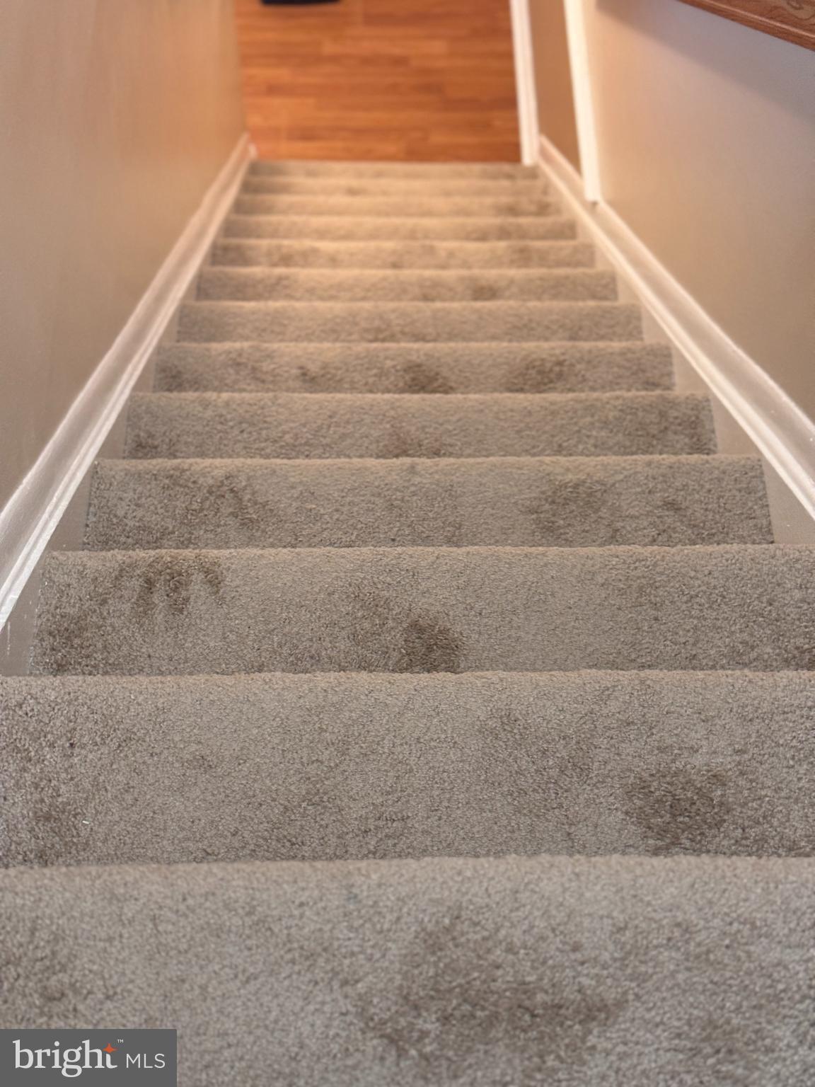 SPRING MEADOWS CONDO - Residential