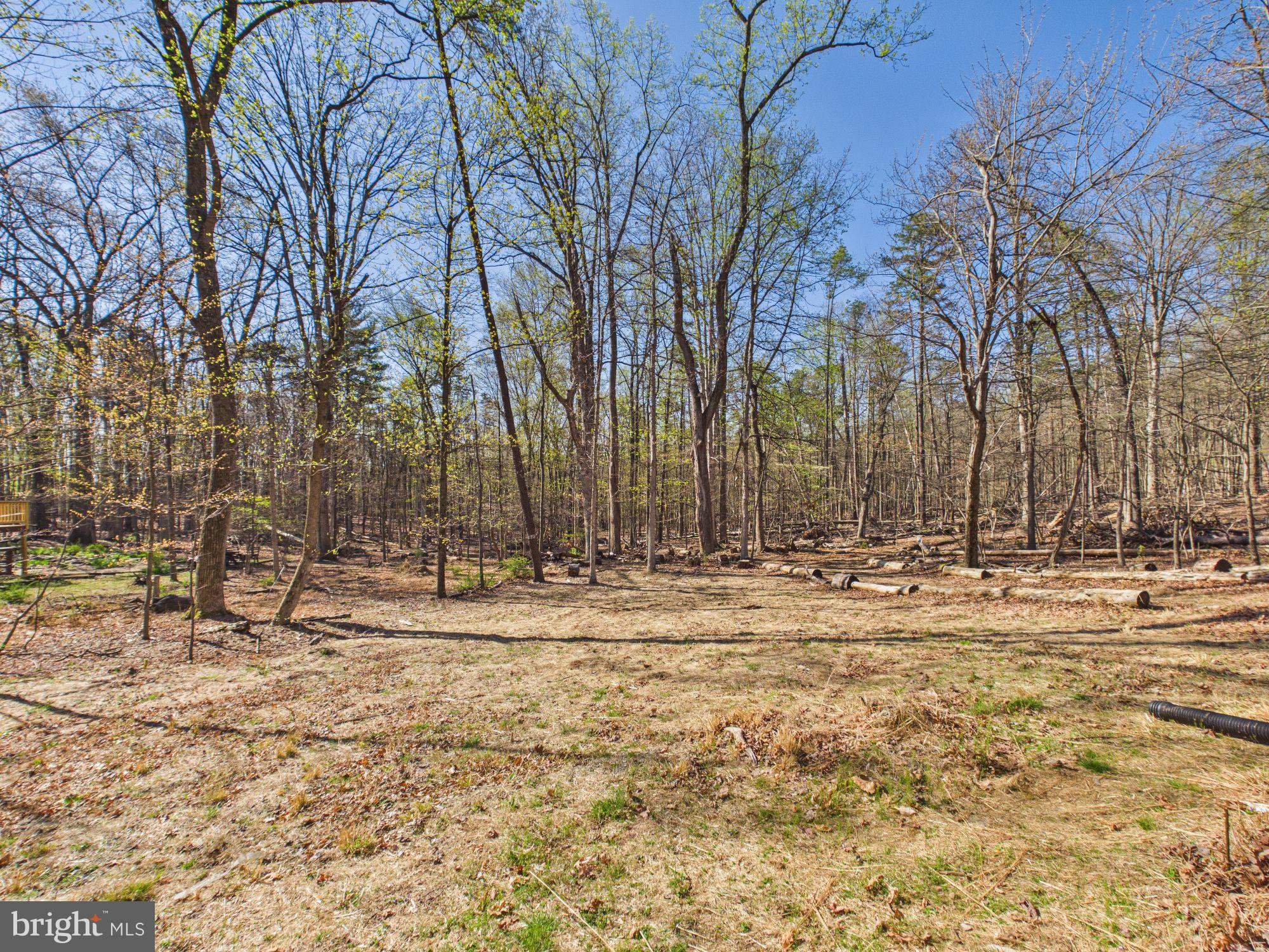 THE WOODS - Residential