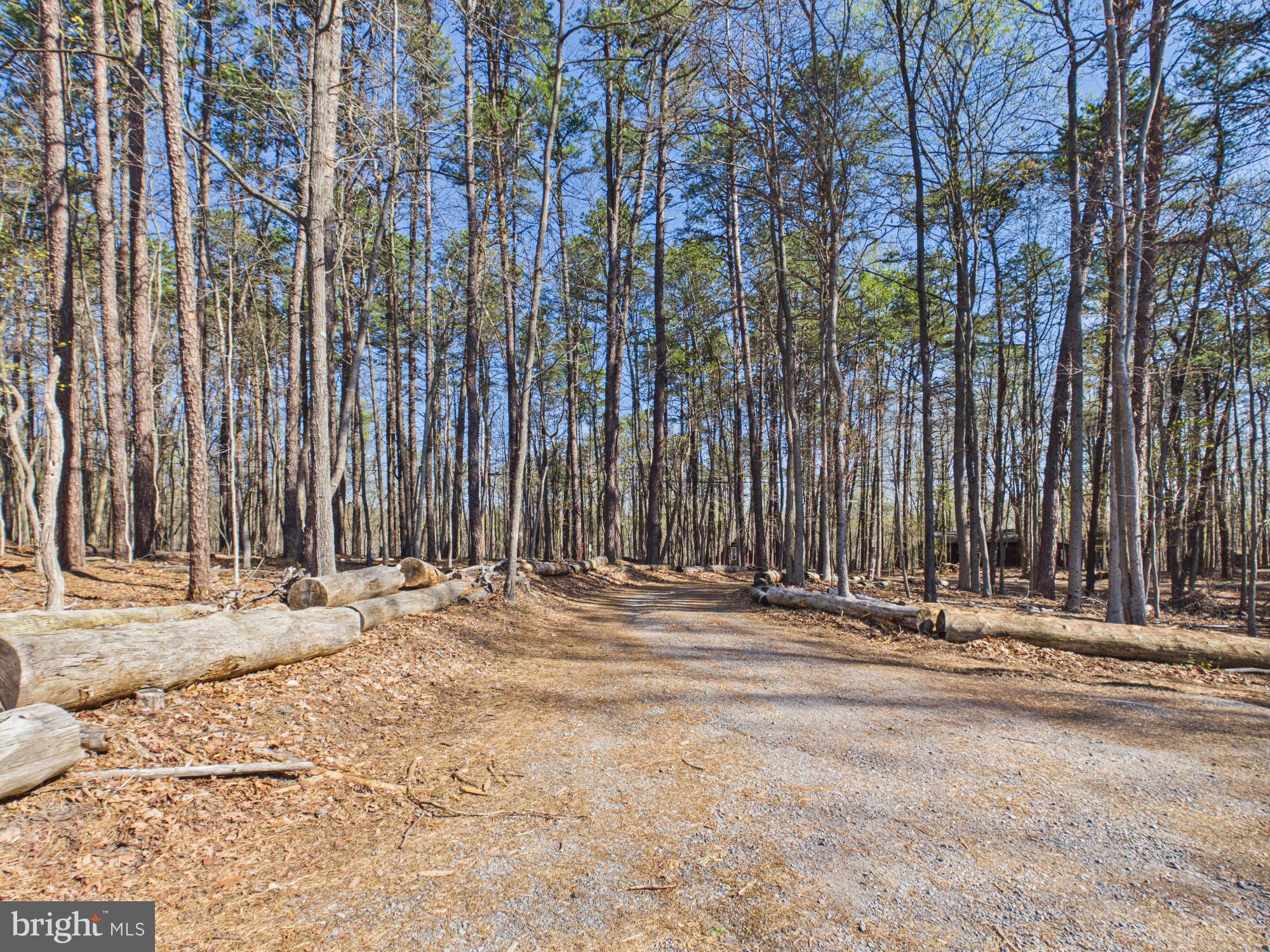 THE WOODS - Residential