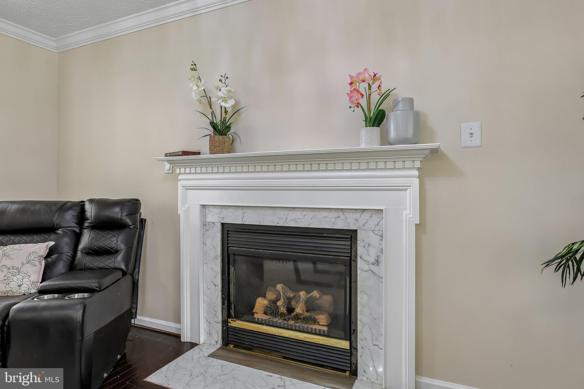 9236 STREAM VIEW LANE