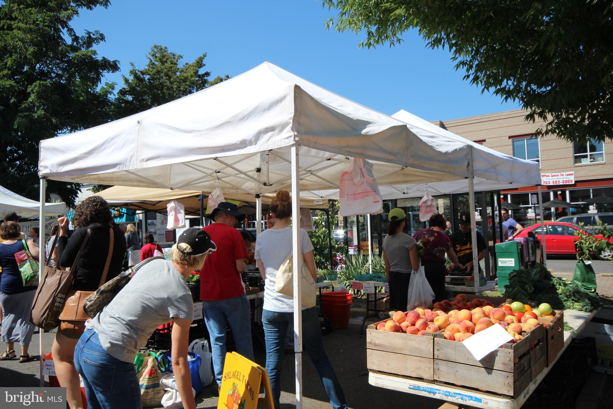 ROSEMONT - Residential