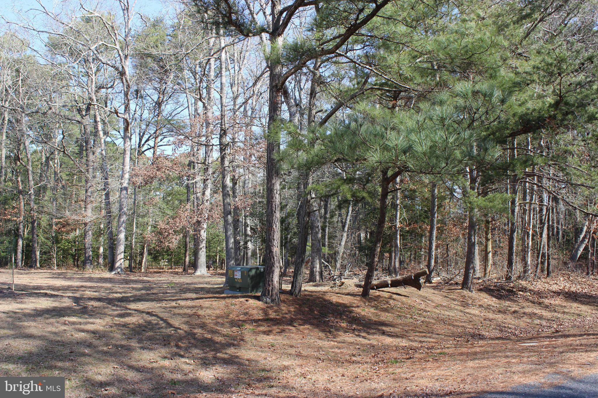 85 BARRACUDA COURT