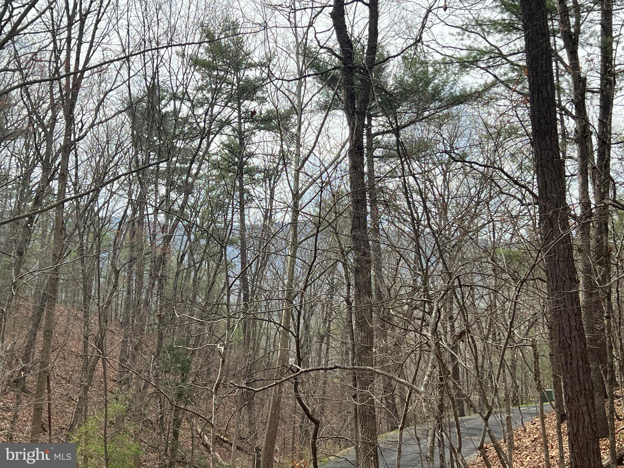 BRYCE MOUNTAIN - Land