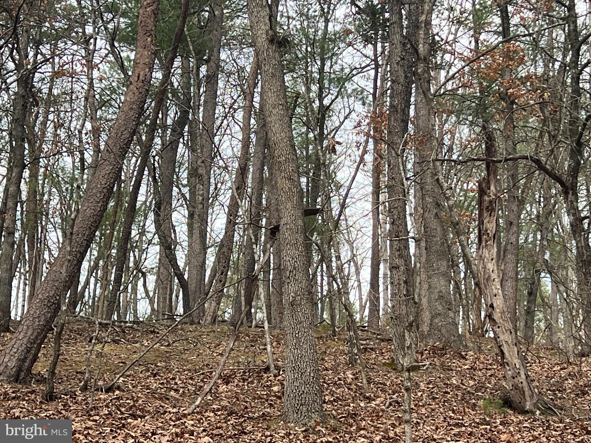 BRYCE MOUNTAIN - Land