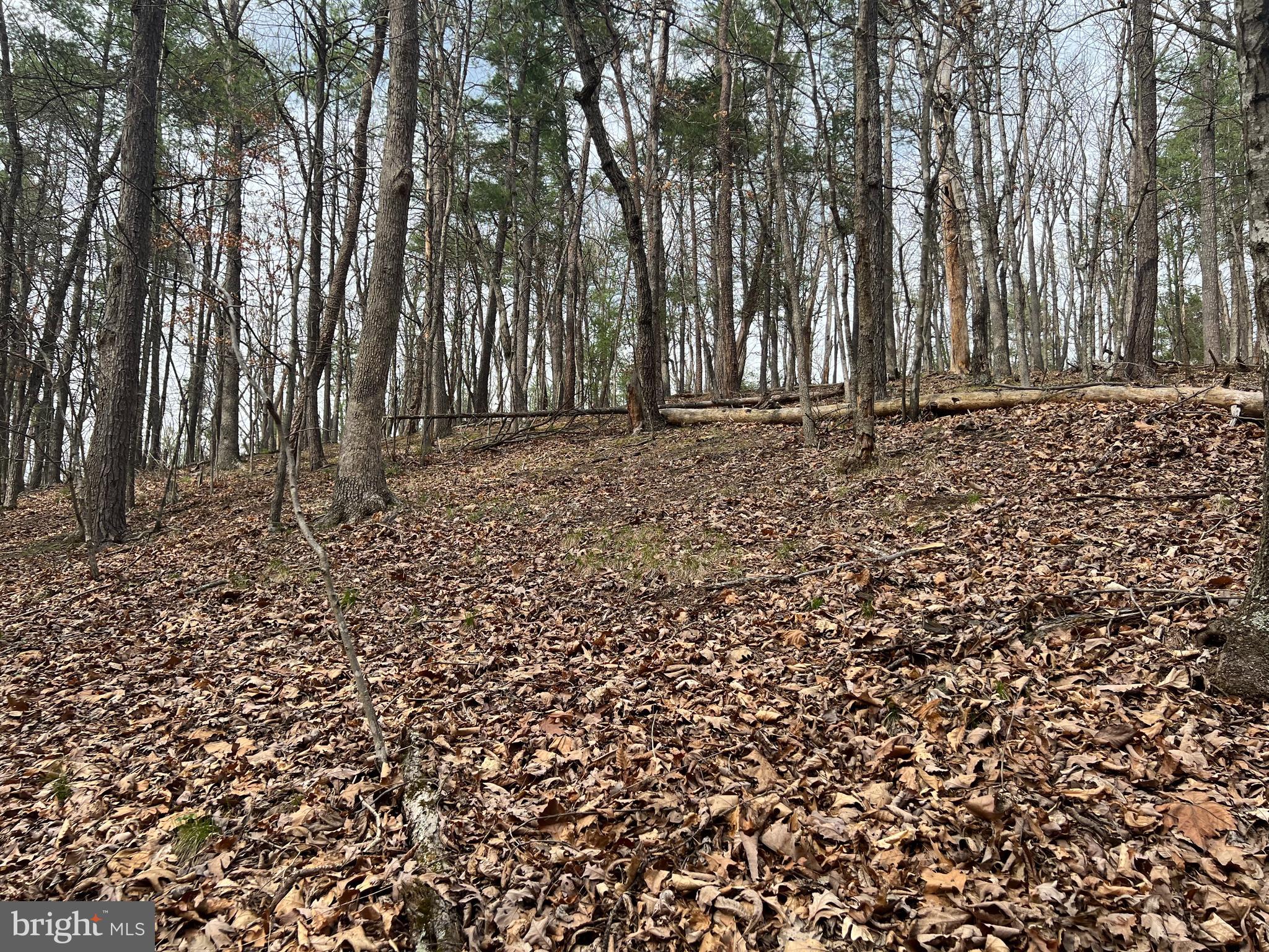 BRYCE MOUNTAIN - Land