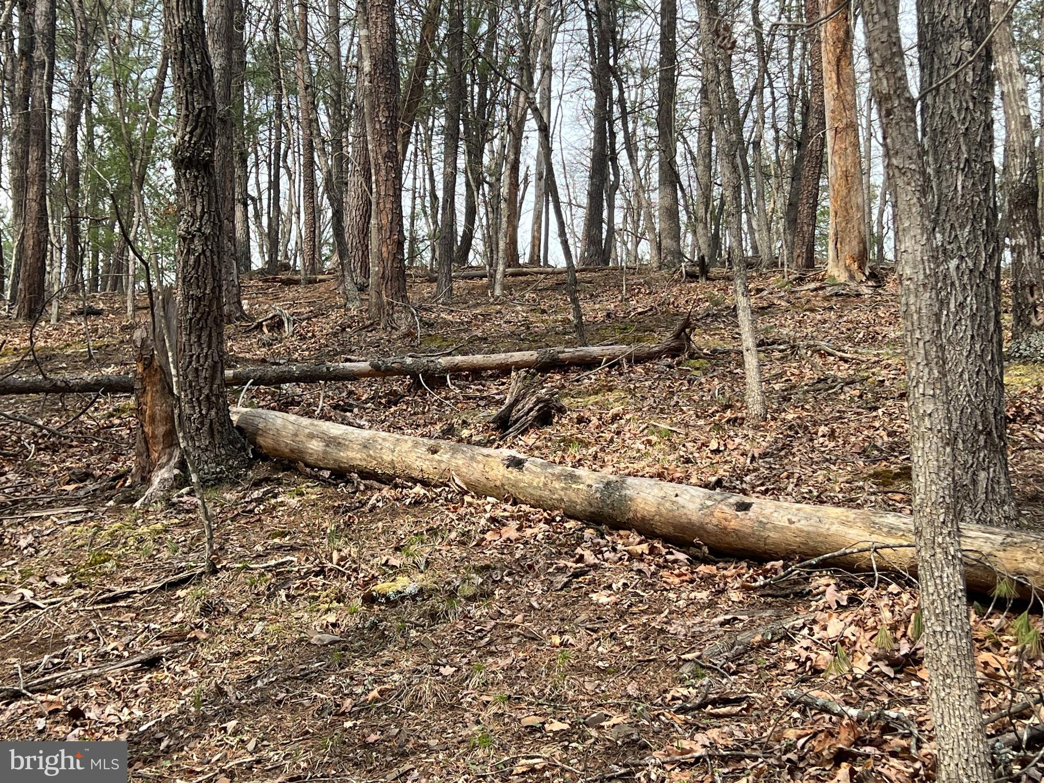 BRYCE MOUNTAIN - Land