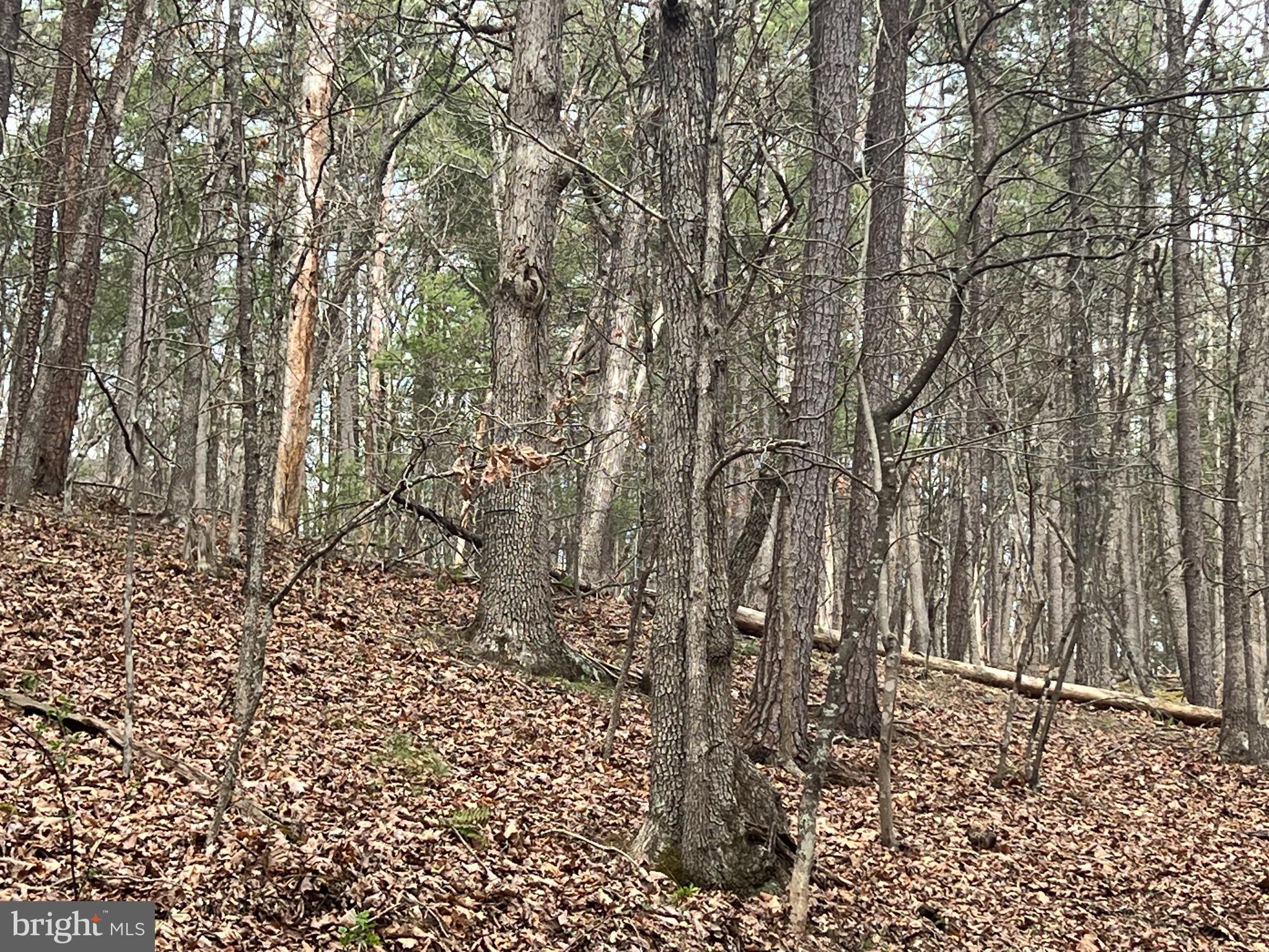 BRYCE MOUNTAIN - Land