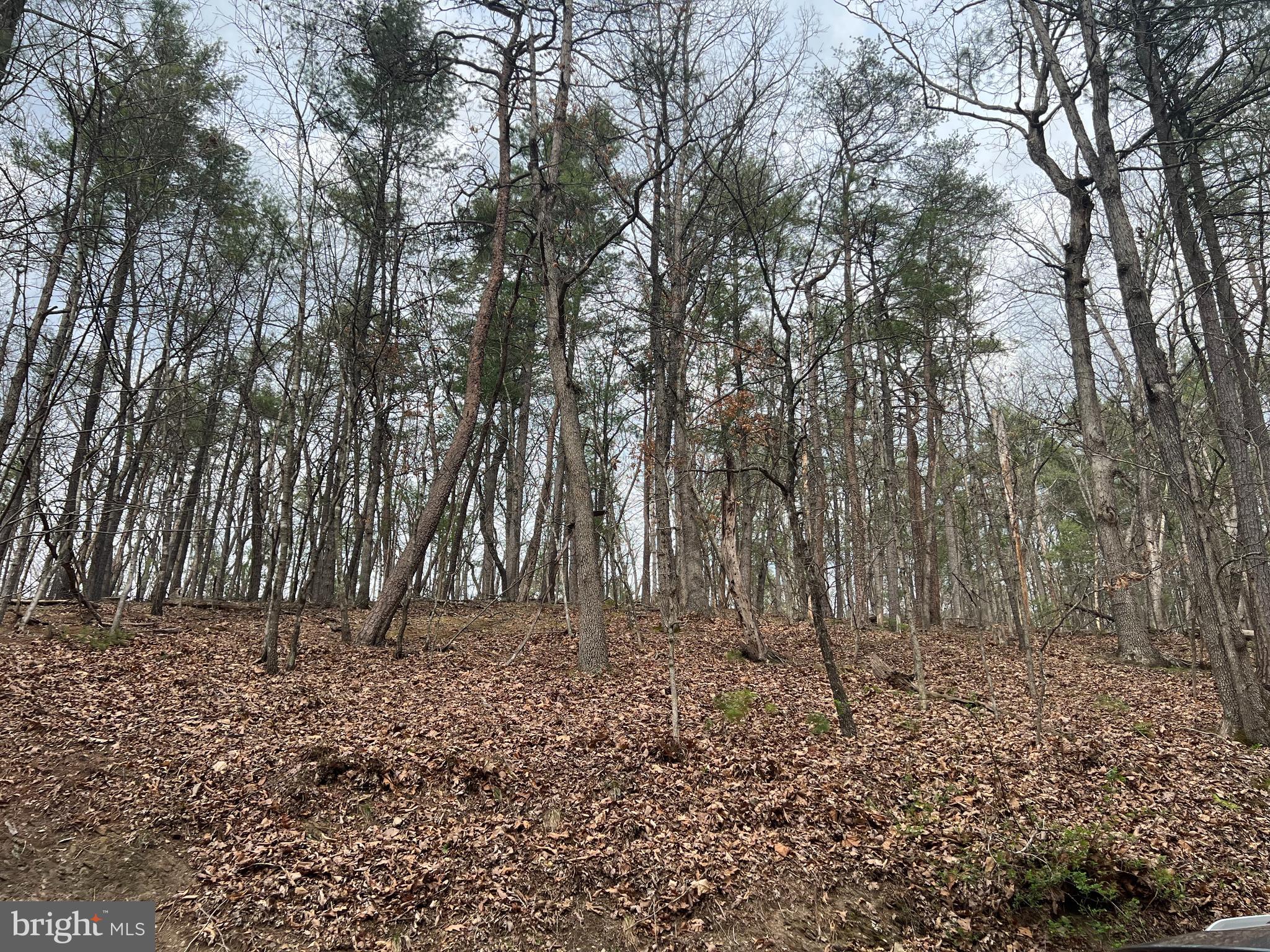 BRYCE MOUNTAIN - Land