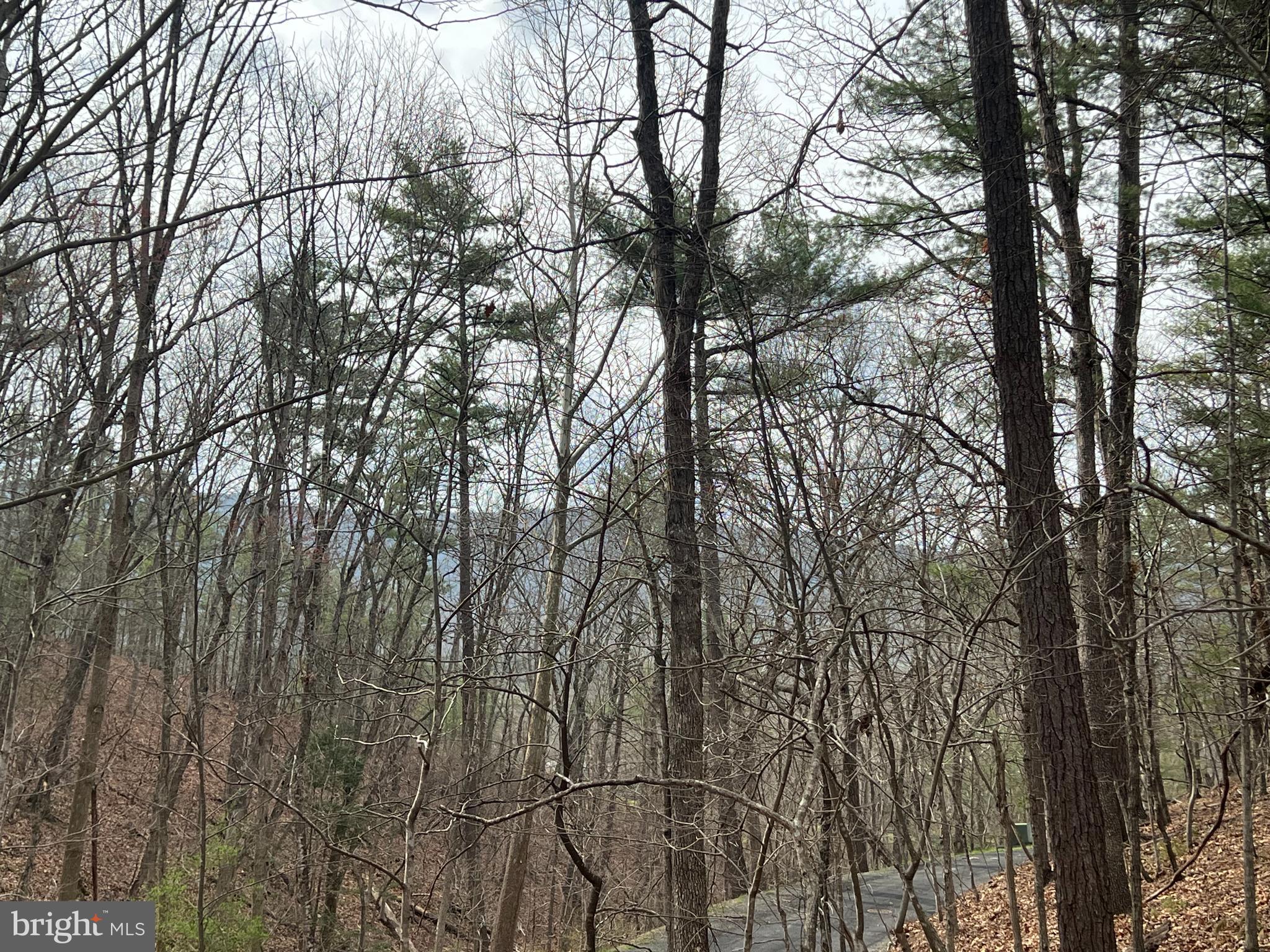 BRYCE MOUNTAIN - Land