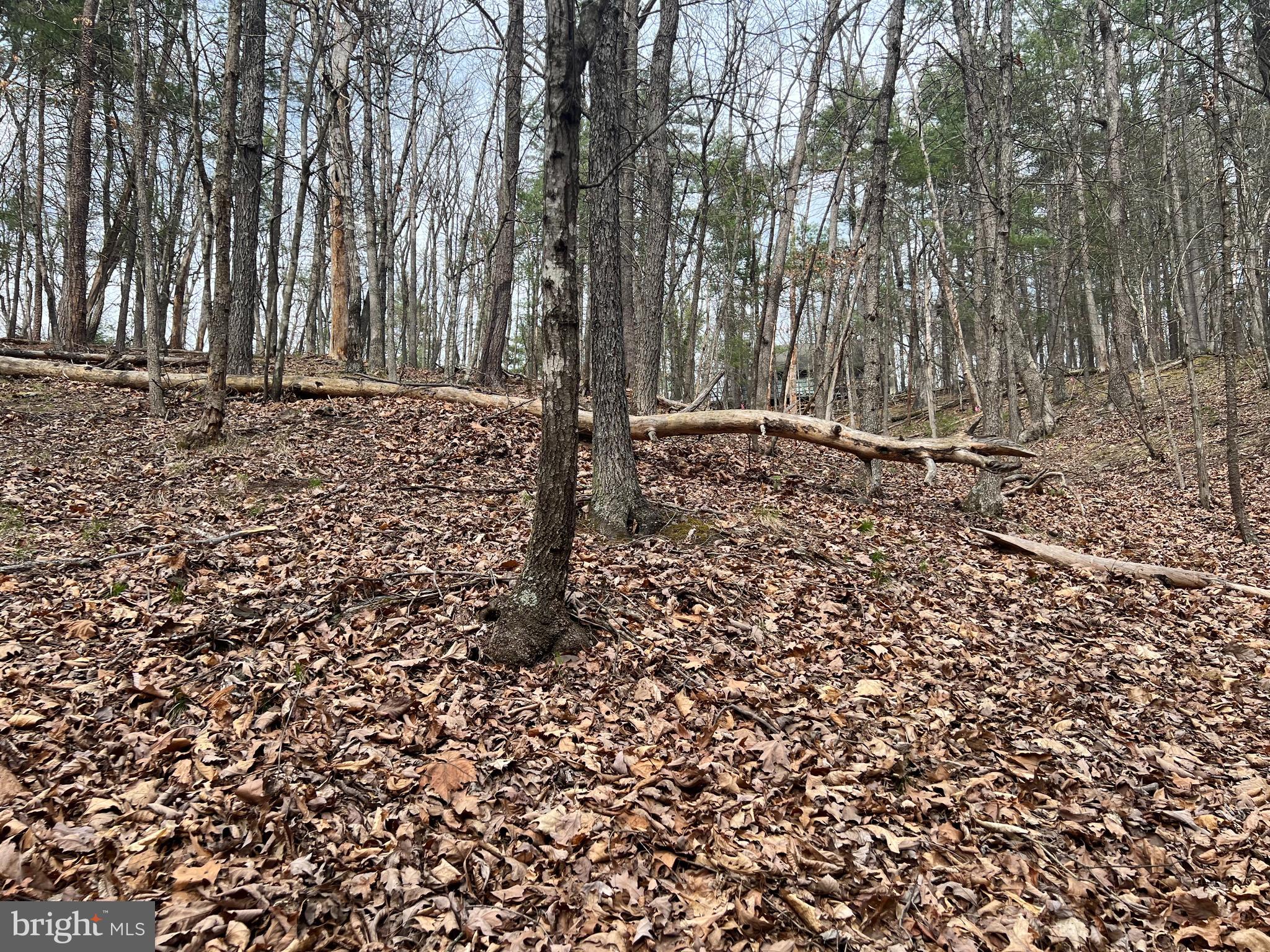 BRYCE MOUNTAIN - Land