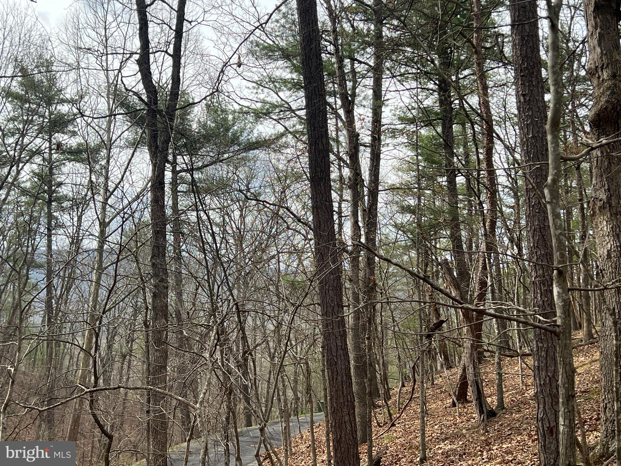 BRYCE MOUNTAIN - Land